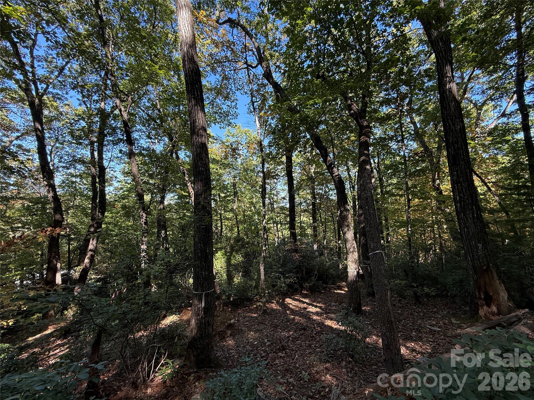 Lot 81 - R Kenmure Drive Property Photo 19
