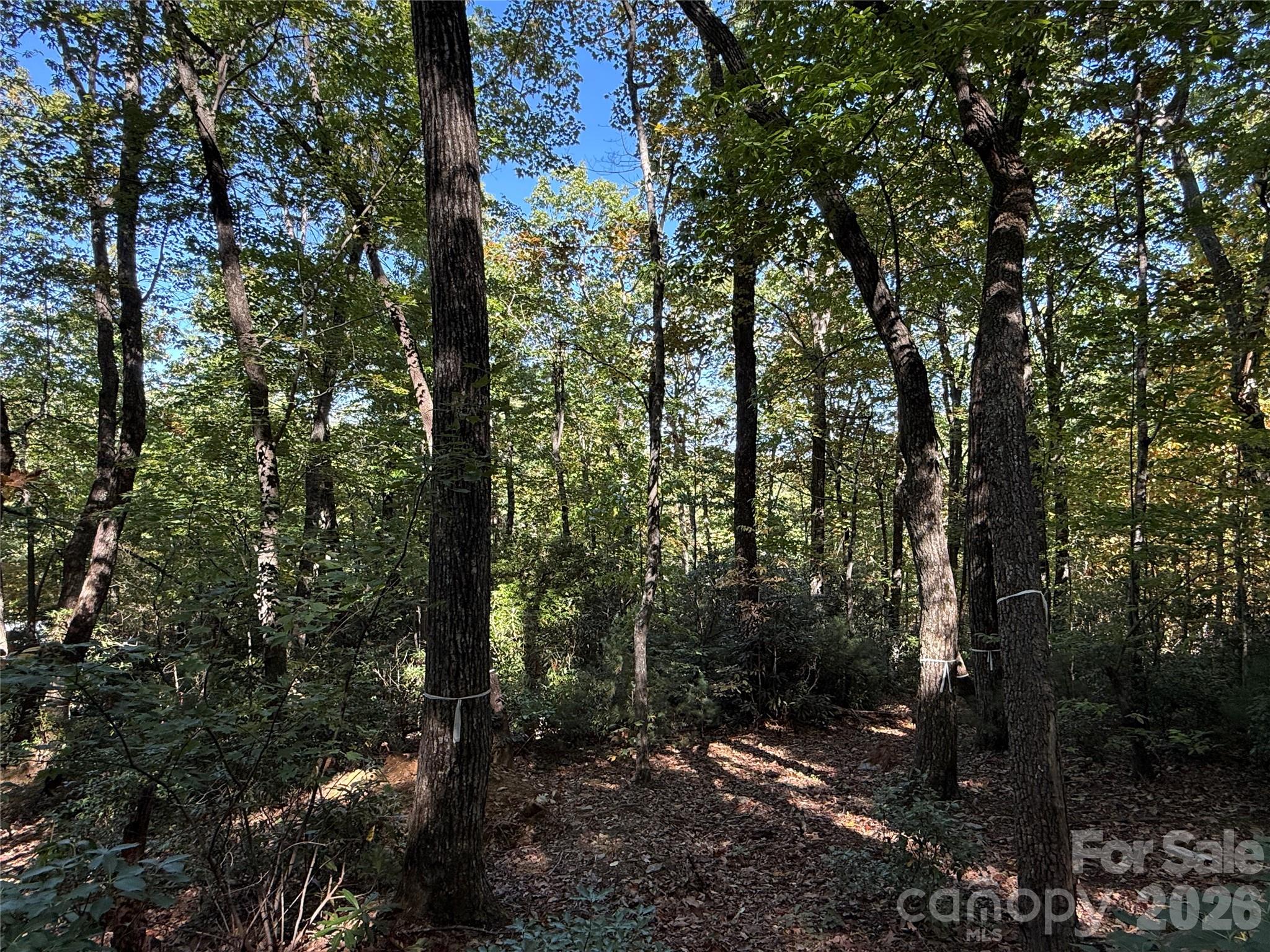 Lot 81 - R Kenmure Drive Property Photo 20