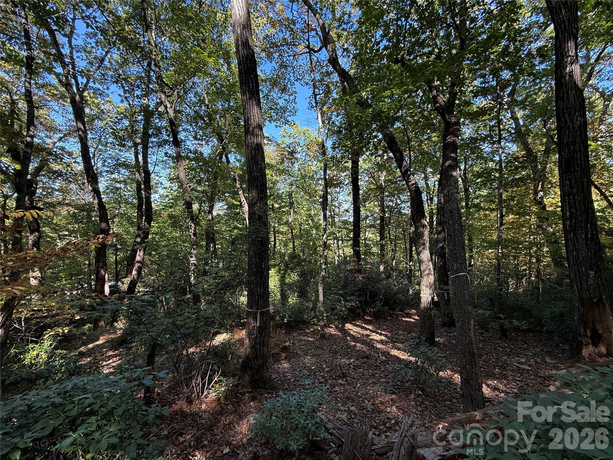 Lot 81 - R Kenmure Drive Property Photo 21