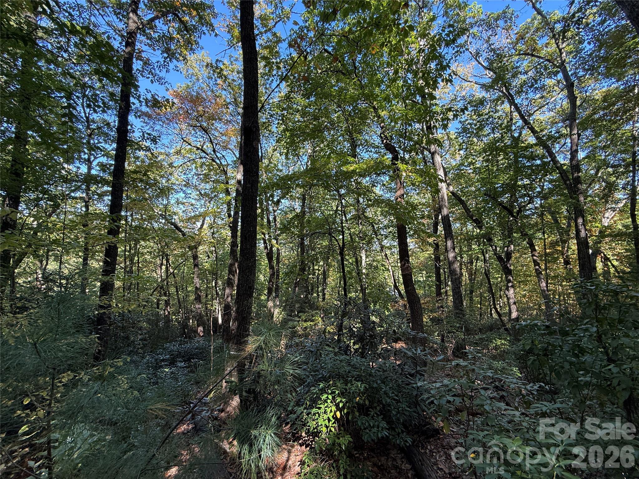 Lot 81 - R Kenmure Drive Property Photo 22
