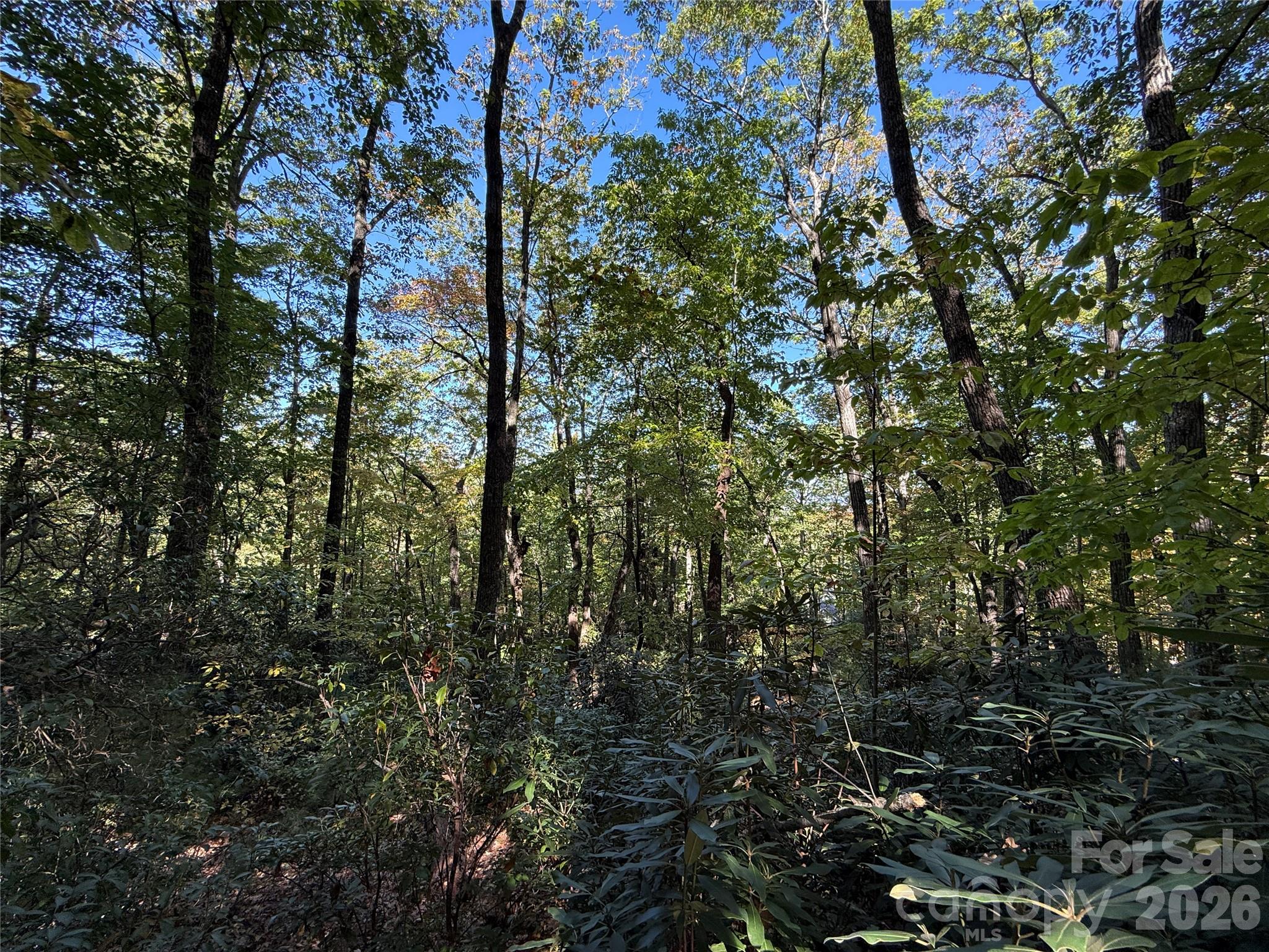 Lot 81 - R Kenmure Drive Property Photo 23
