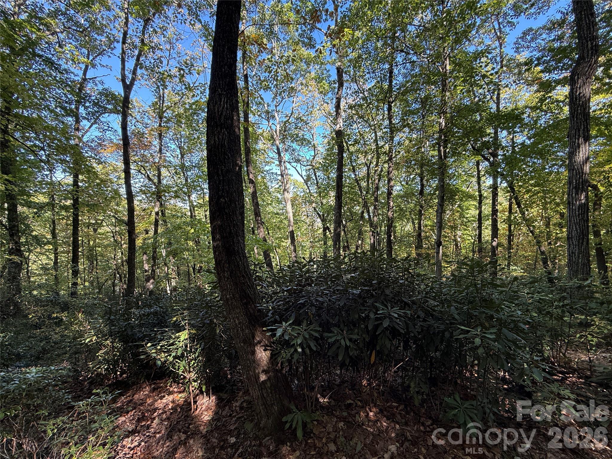 Lot 81 - R Kenmure Drive Property Photo 24