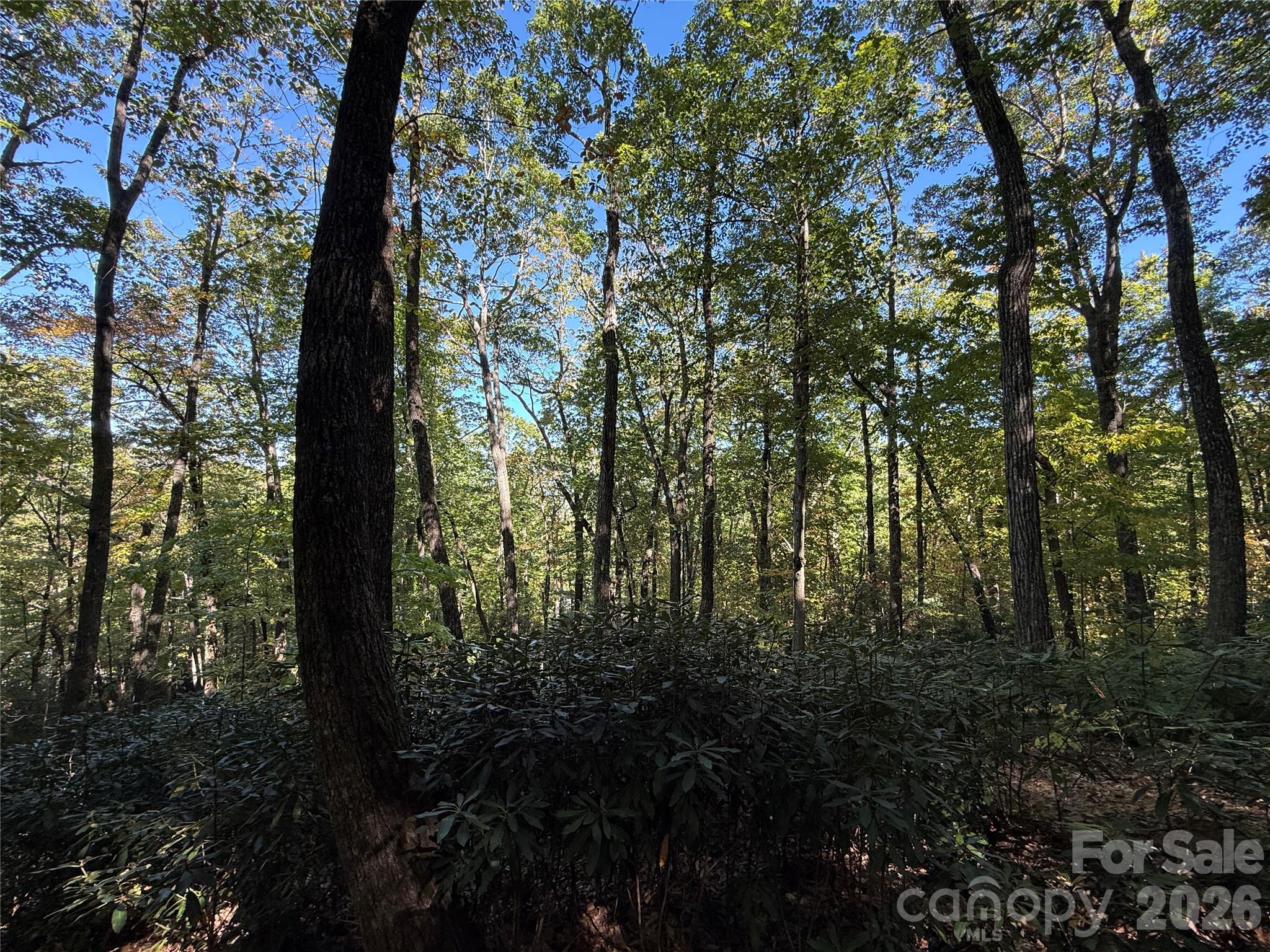 Lot 81 - R Kenmure Drive Property Photo 25