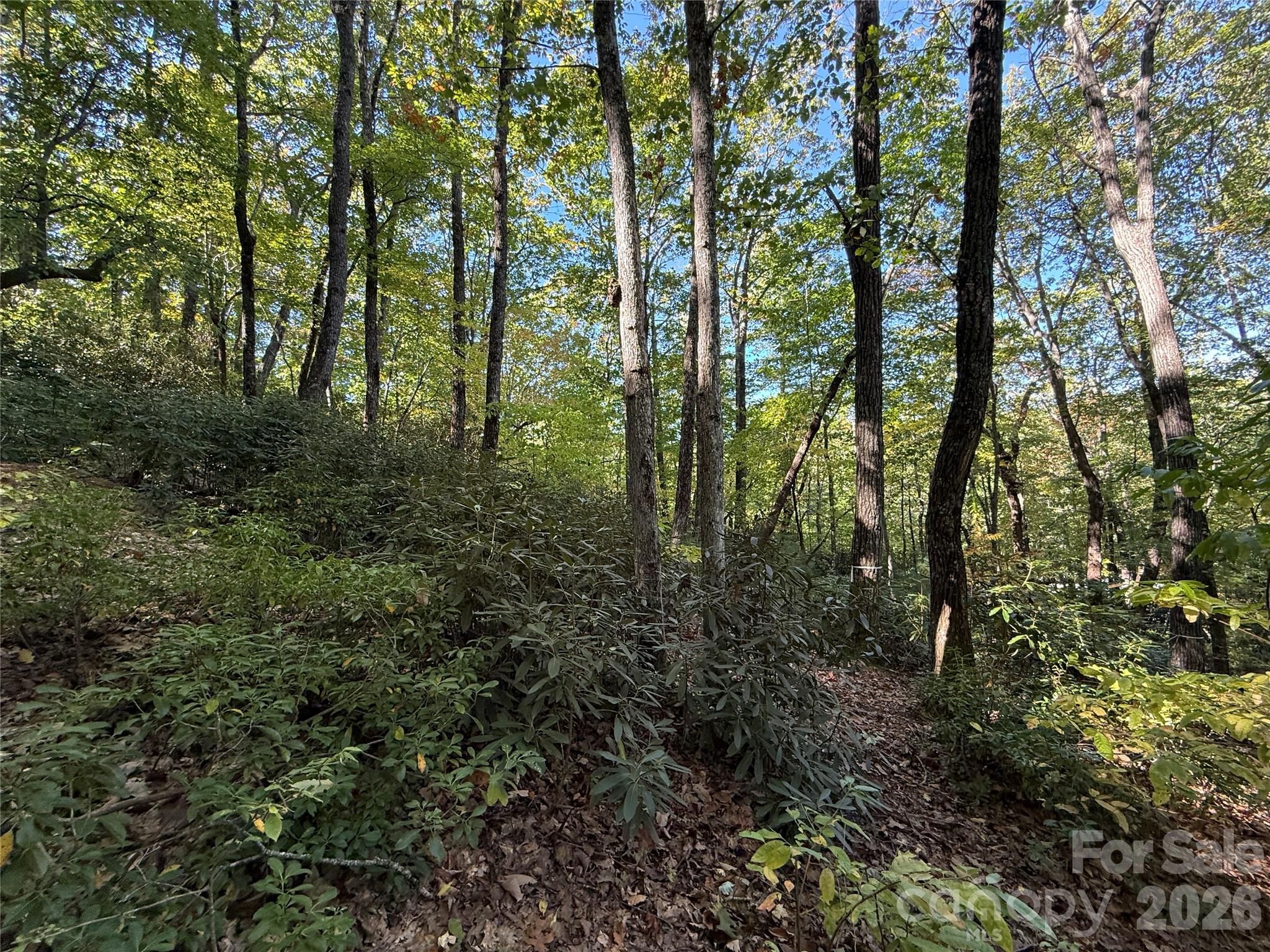 Lot 81 - R Kenmure Drive Property Photo 26