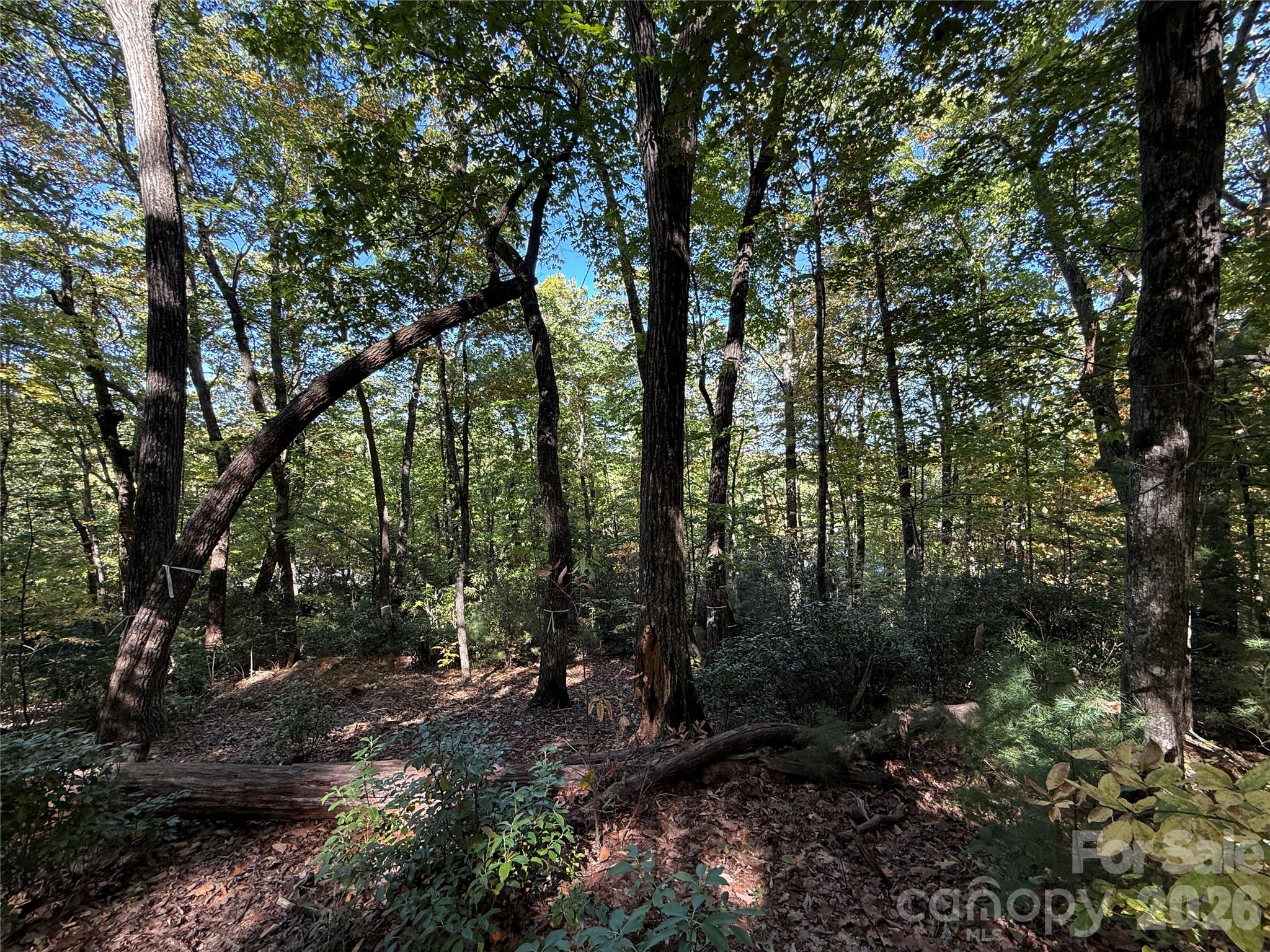 Lot 81 - R Kenmure Drive Property Photo 27