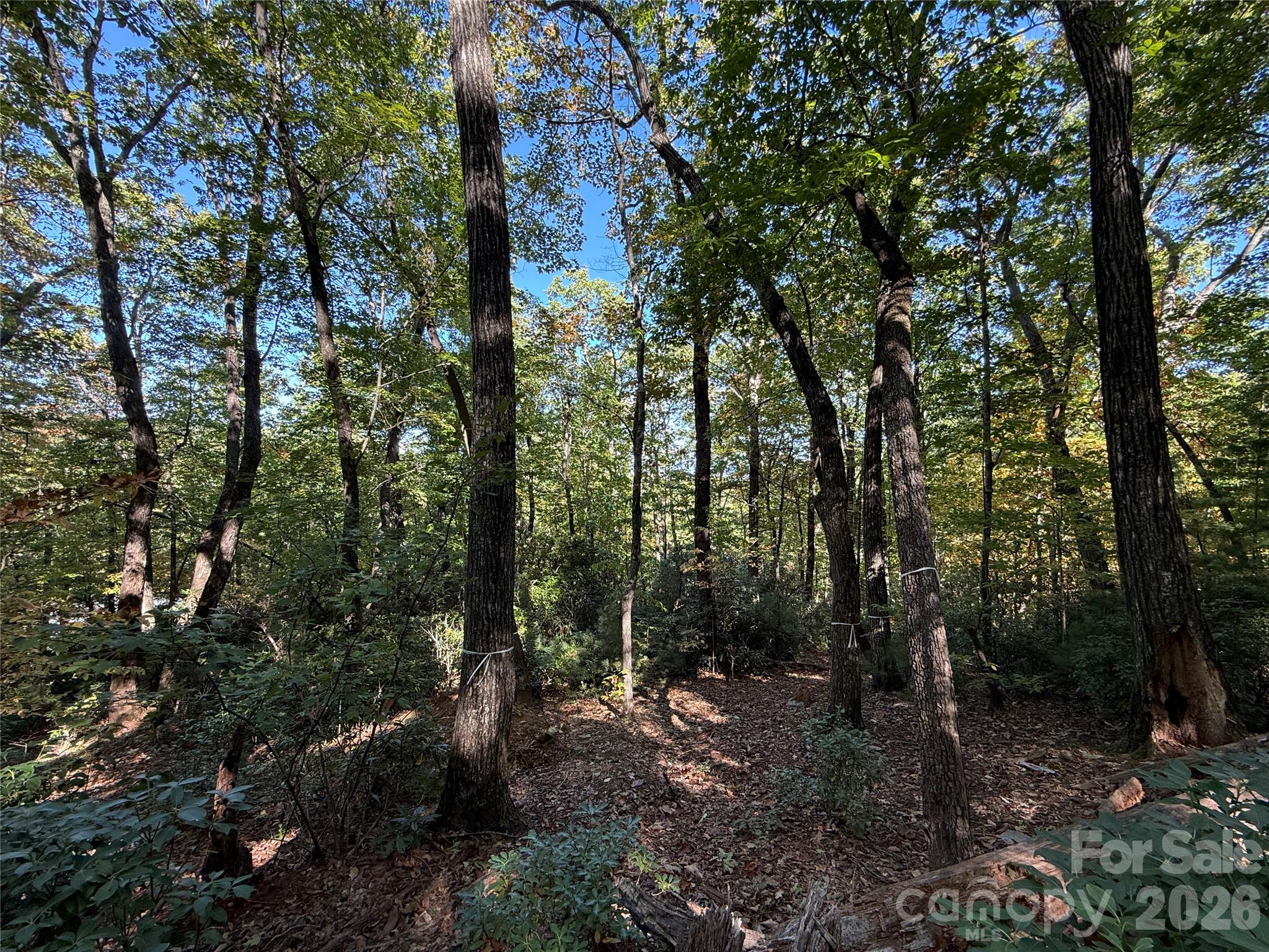 Lot 81 - R Kenmure Drive Property Photo 28