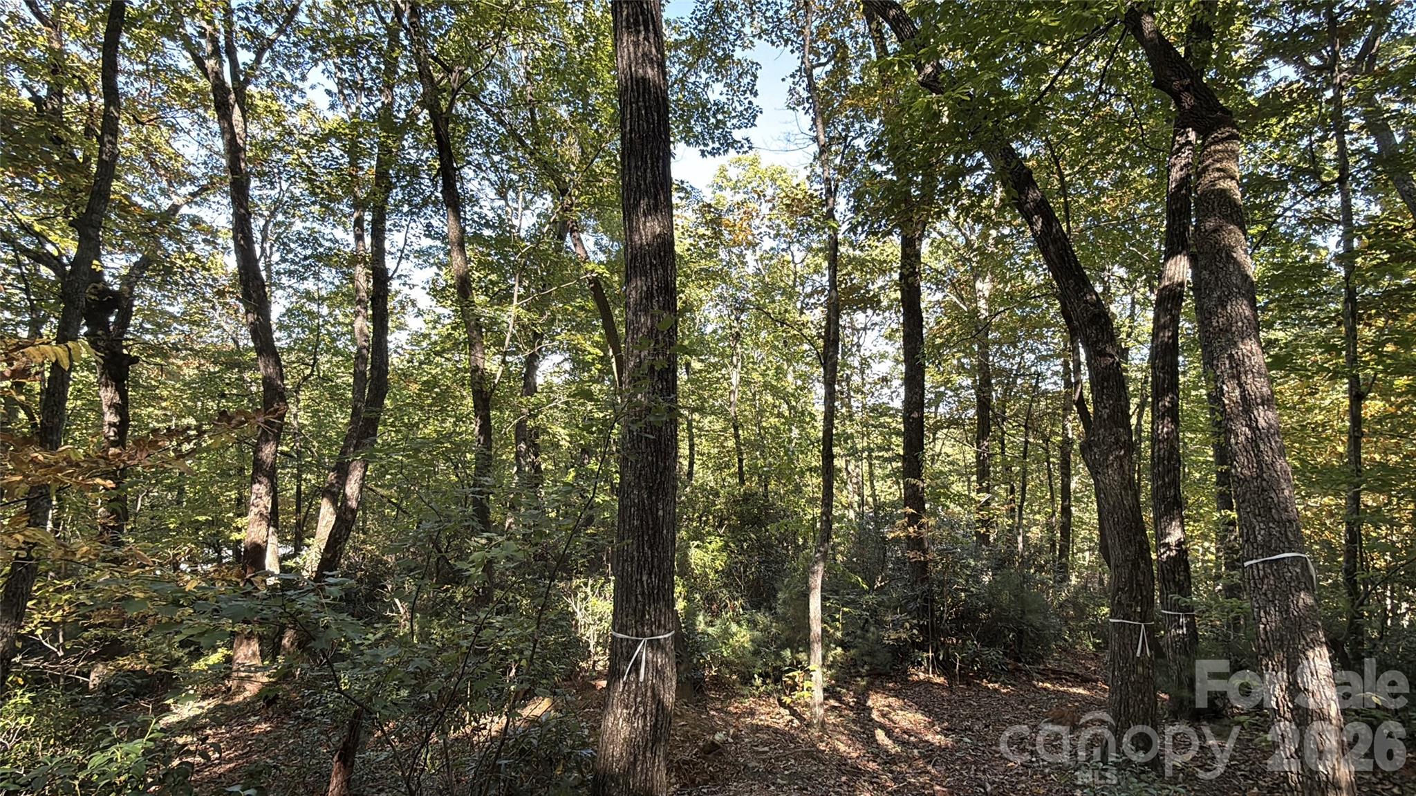 Lot 81 - R Kenmure Drive Property Photo 29