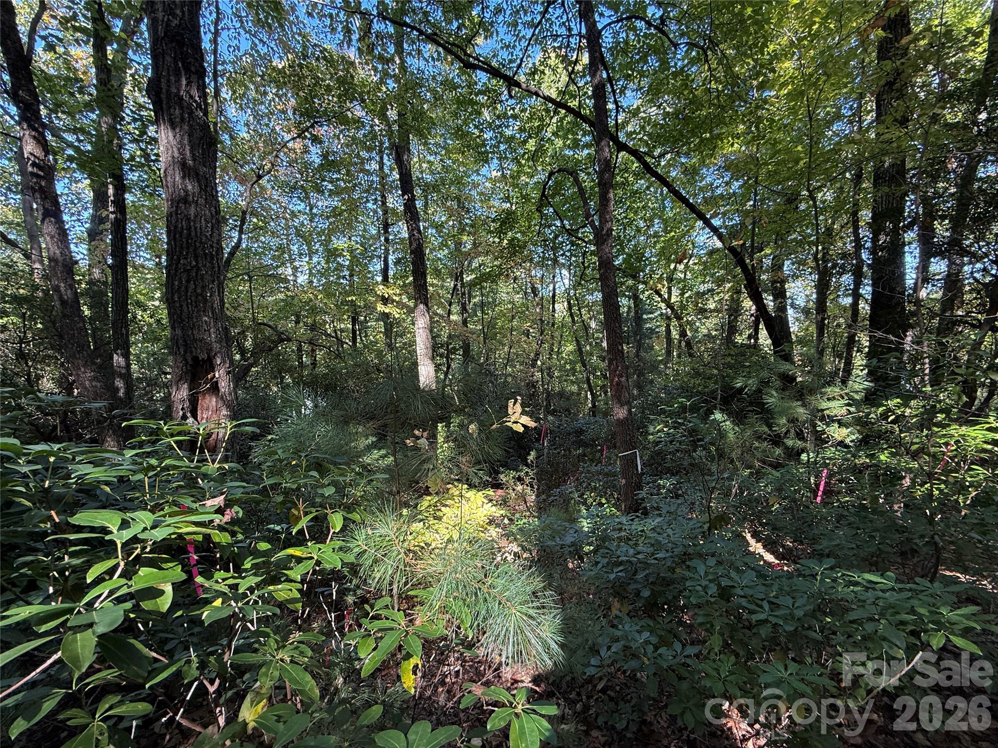 Lot 81 - R Kenmure Drive Property Photo 30
