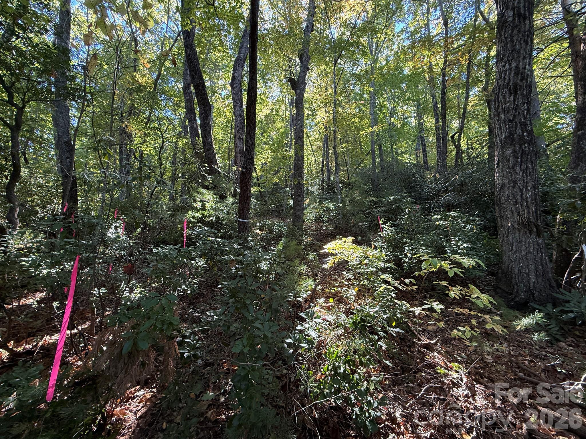 Lot 81 - R Kenmure Drive Property Photo 31