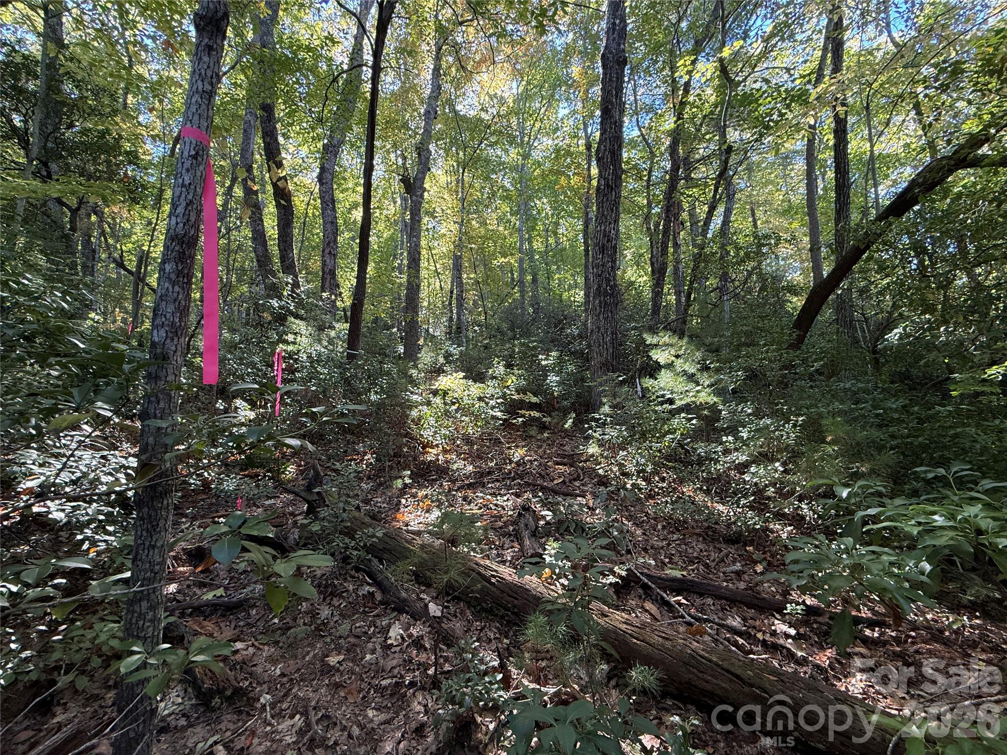Lot 81 - R Kenmure Drive Property Photo 32