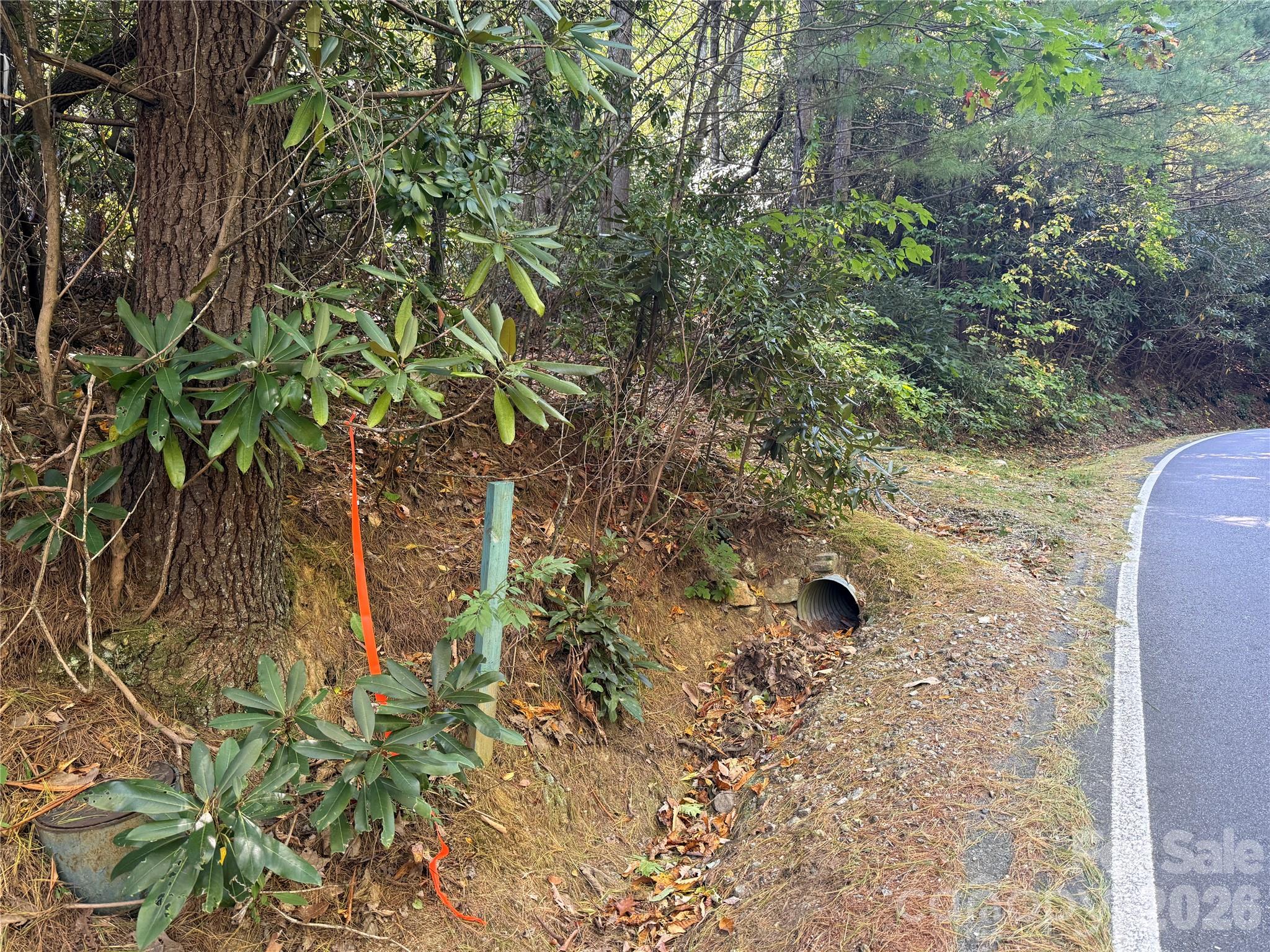 Lot 81 - R Kenmure Drive Property Photo 35
