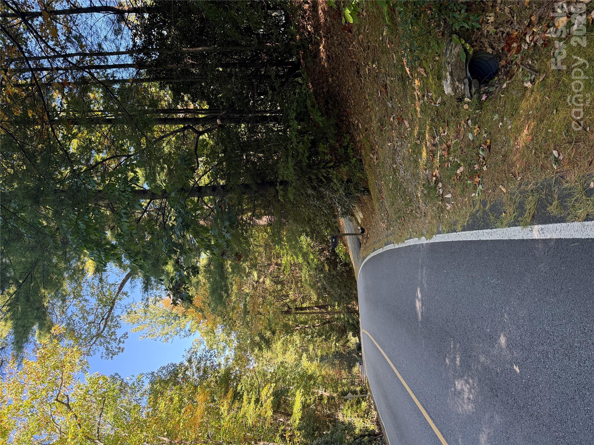 Lot 81 - R Kenmure Drive Property Photo 36