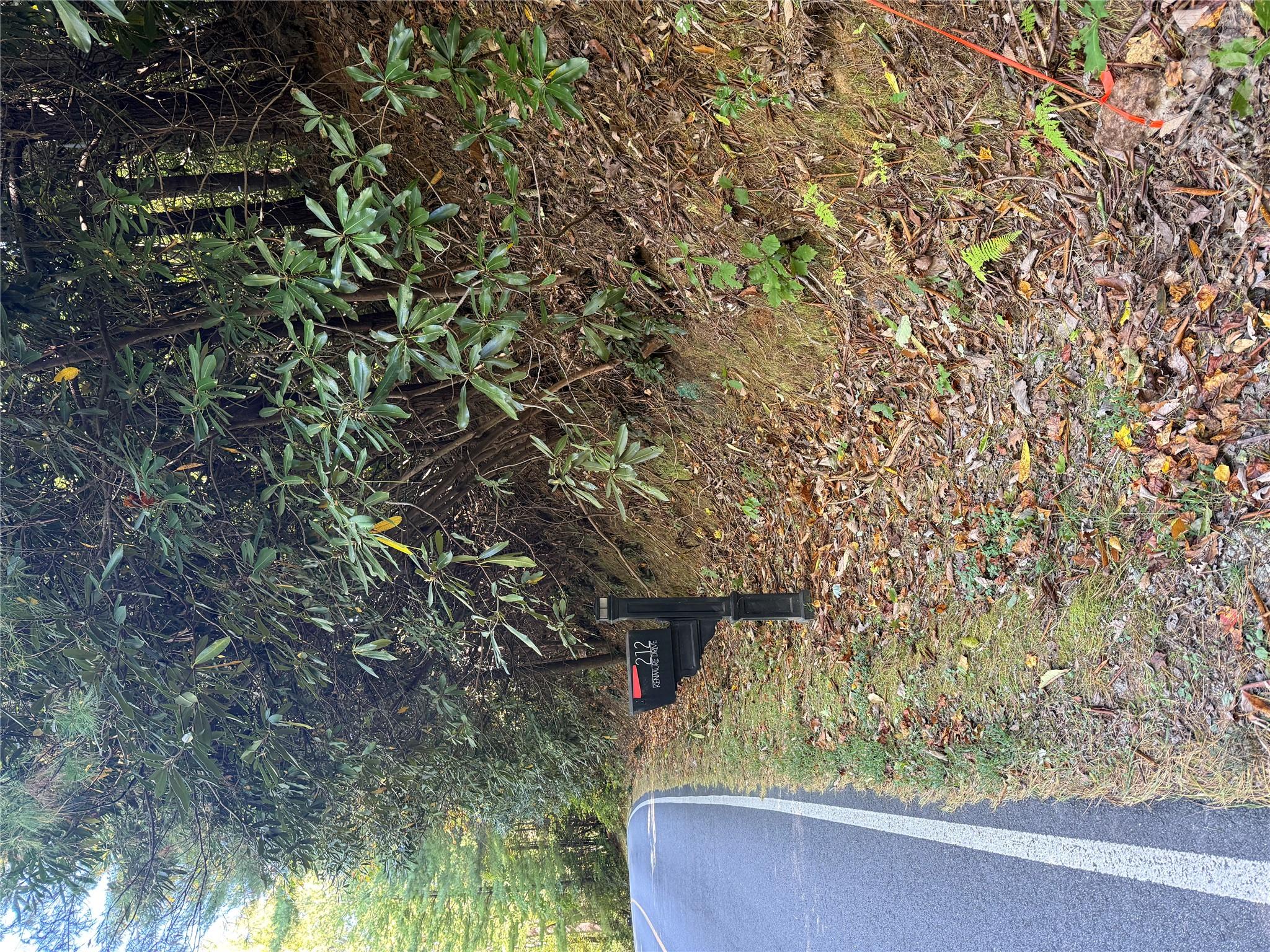 Lot 81 - R Kenmure Drive Property Photo 38
