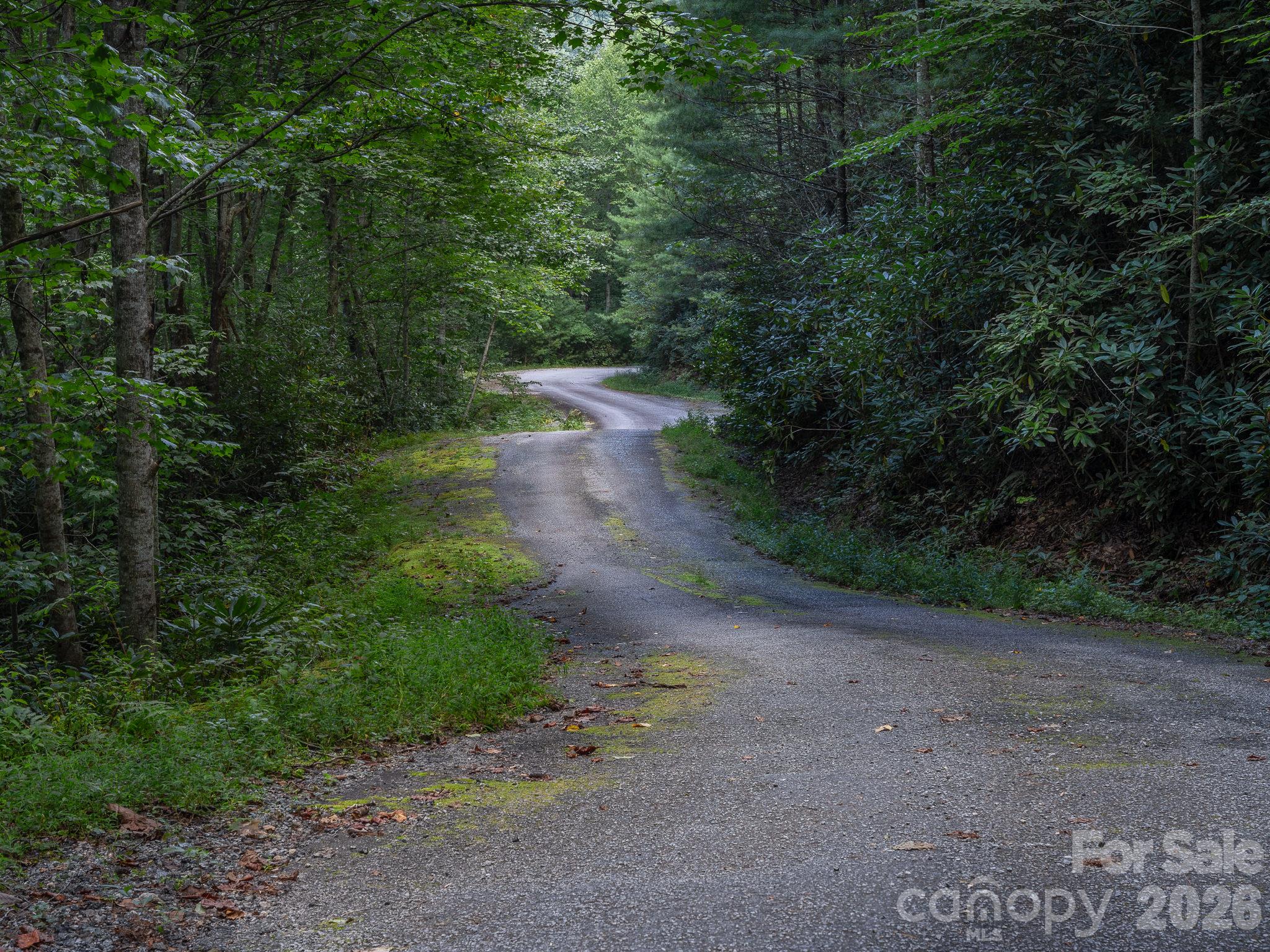 Lot 7 W Chestnut Ridges Road 7 Property Photo 5