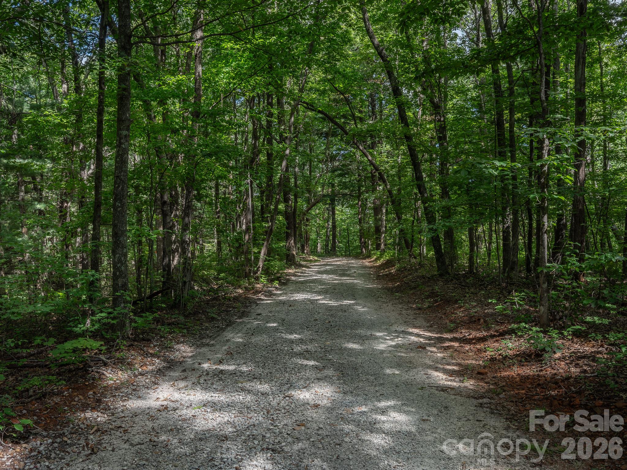 Lot 7 W Chestnut Ridges Road 7 Property Photo 8
