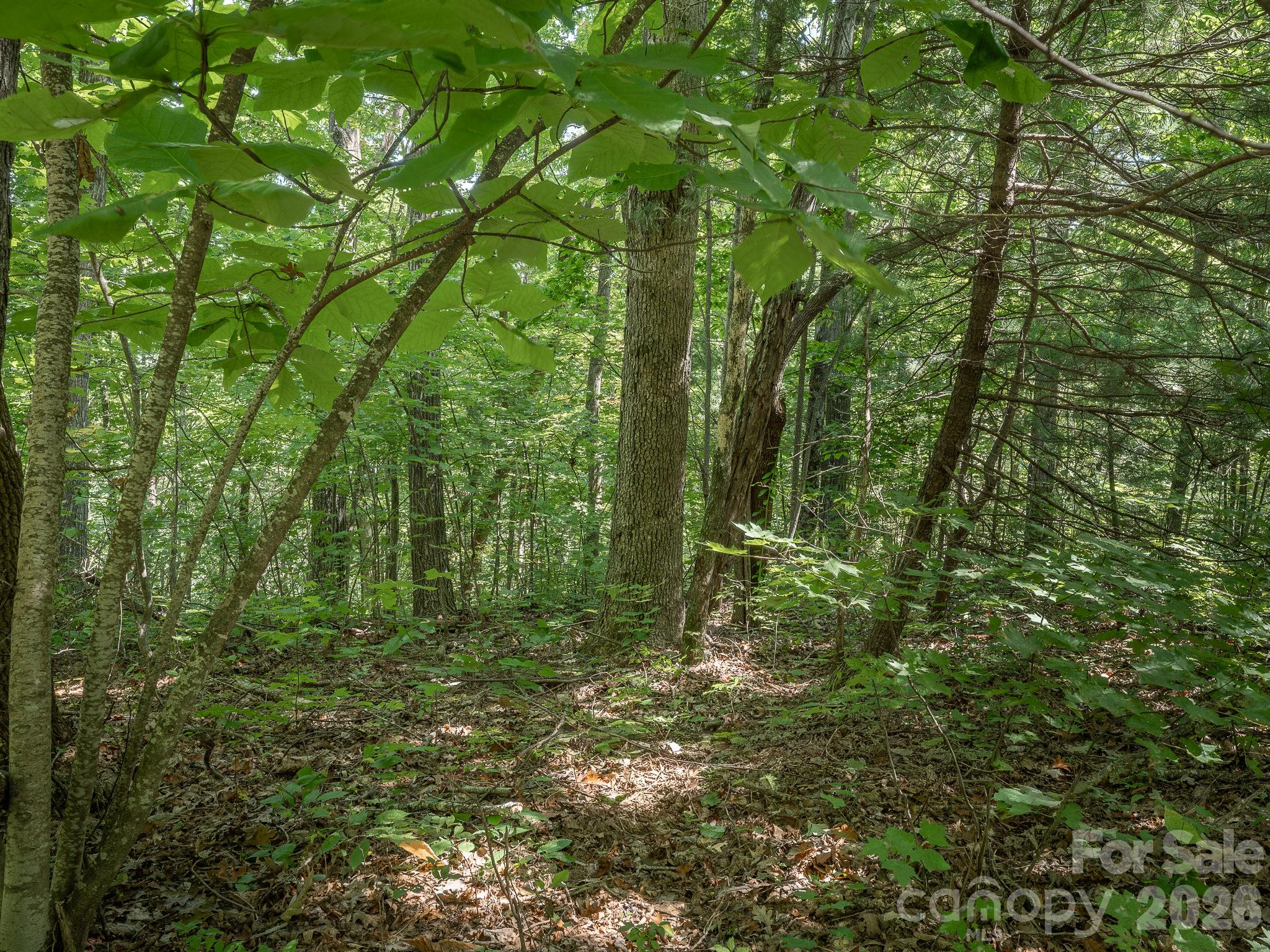 Lot 7 W Chestnut Ridges Road 7 Property Photo 12