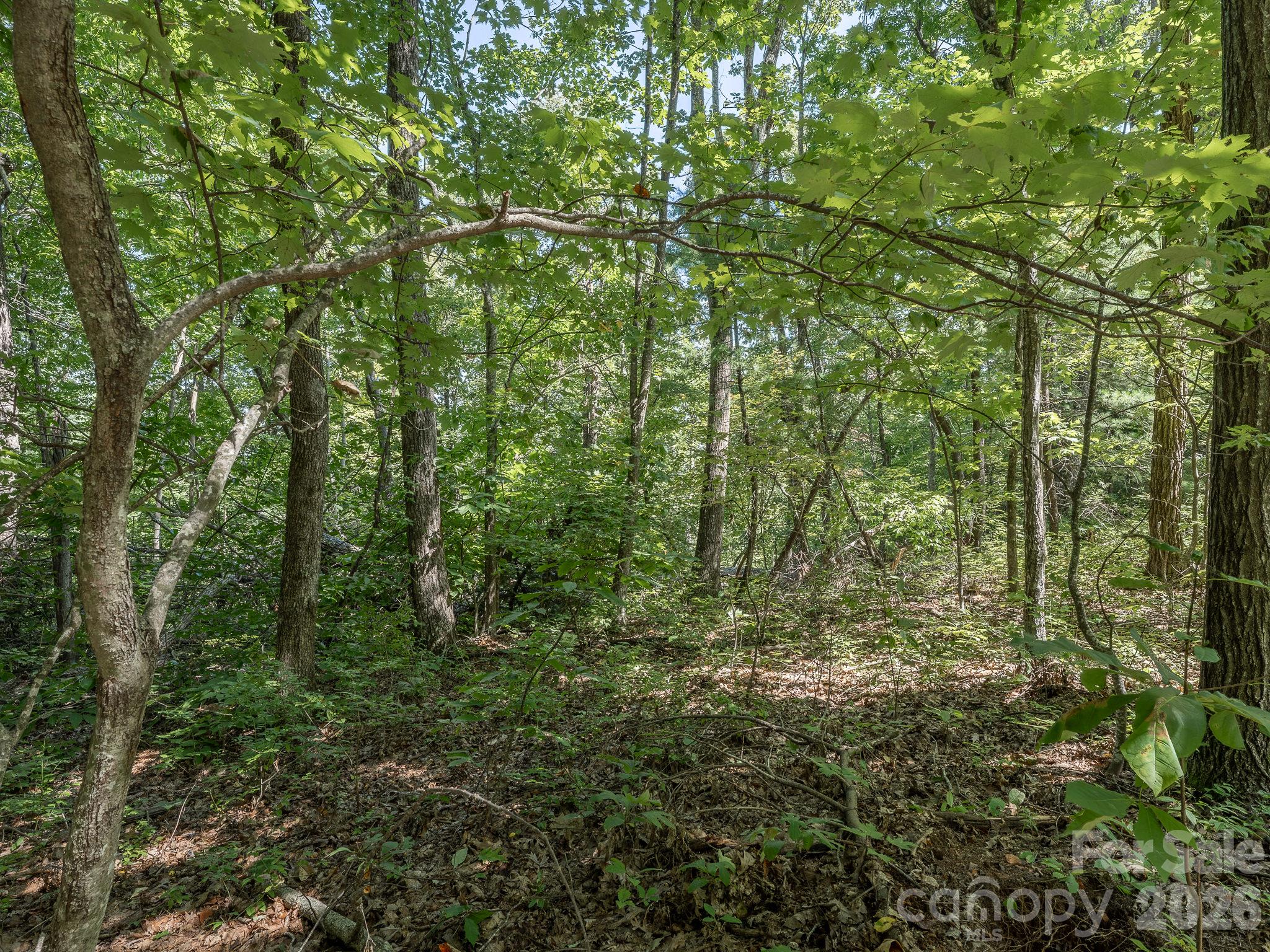 Lot 7 W Chestnut Ridges Road 7 Property Photo 13