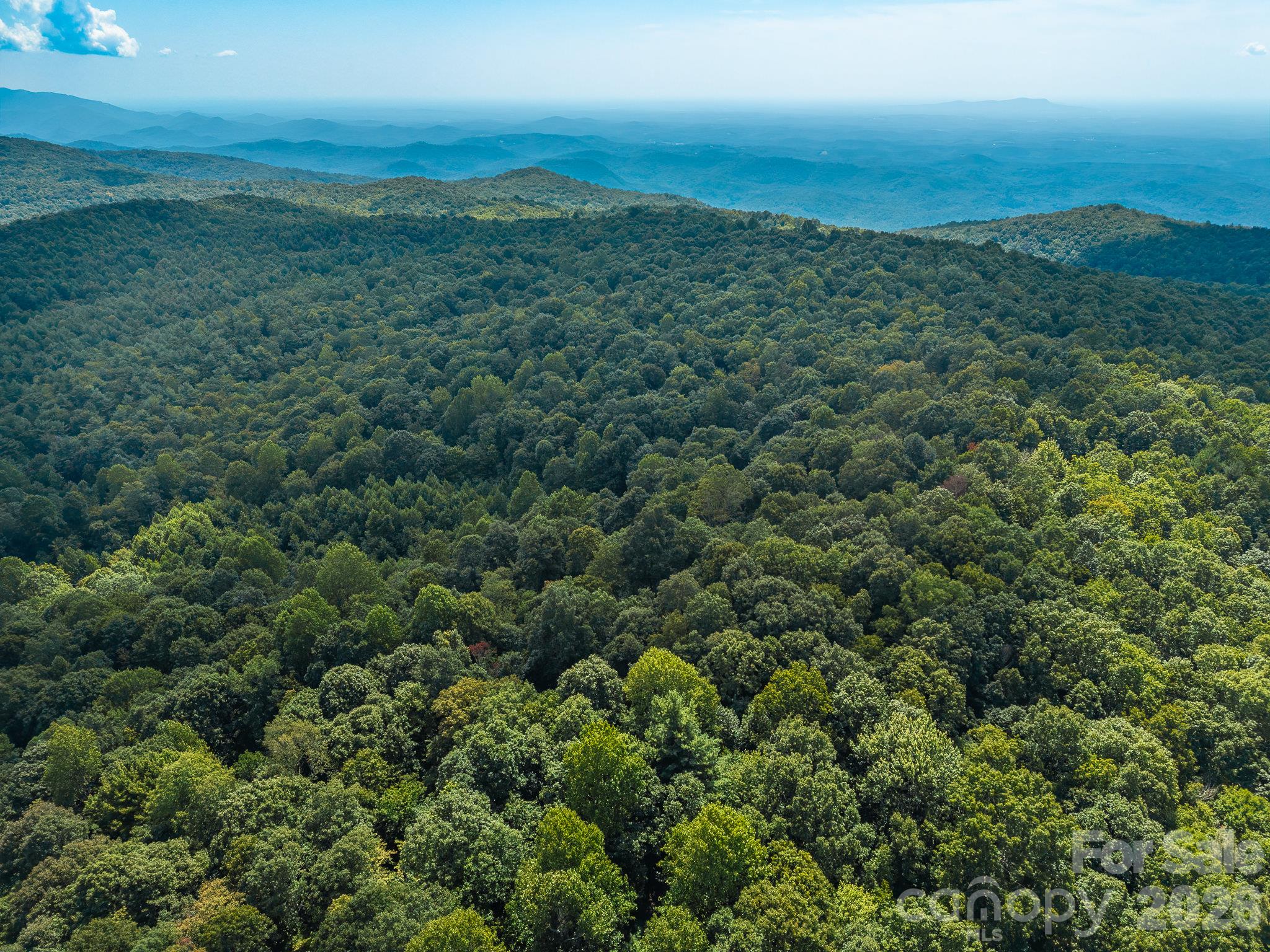 Lot 7 W Chestnut Ridges Road 7 Property Photo 15