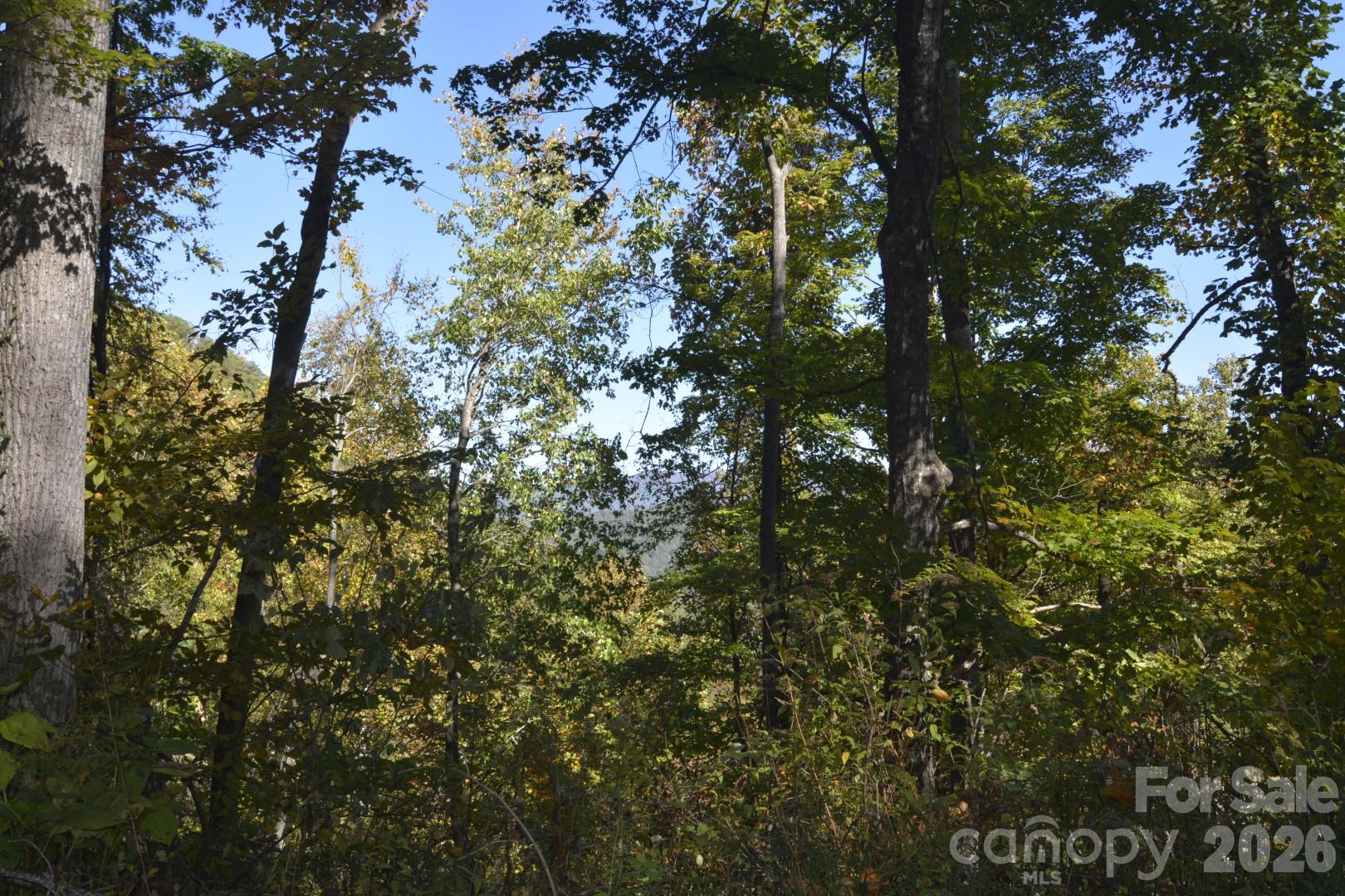 00 Bedford Road Property Photo 1