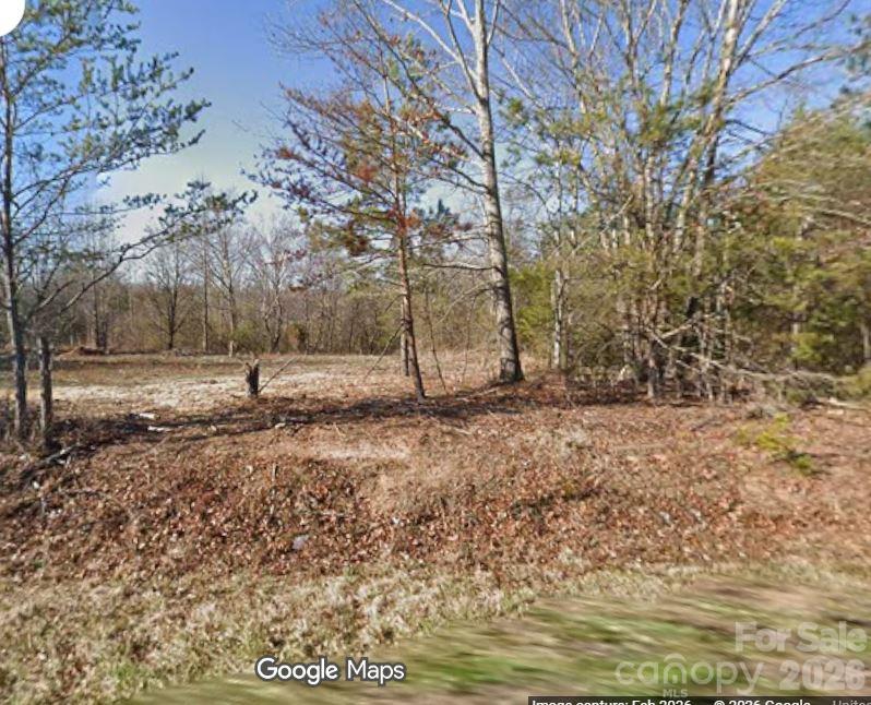 877 Biggerstaff Loop Lot E Property Photo 2