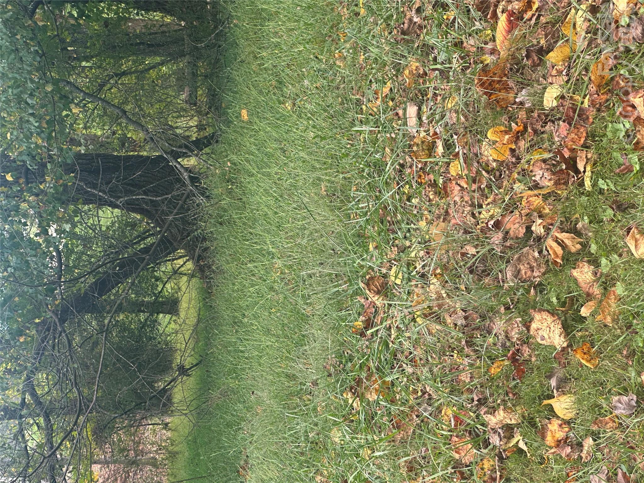 Lot 121 Friar Court 121 Property Photo 1
