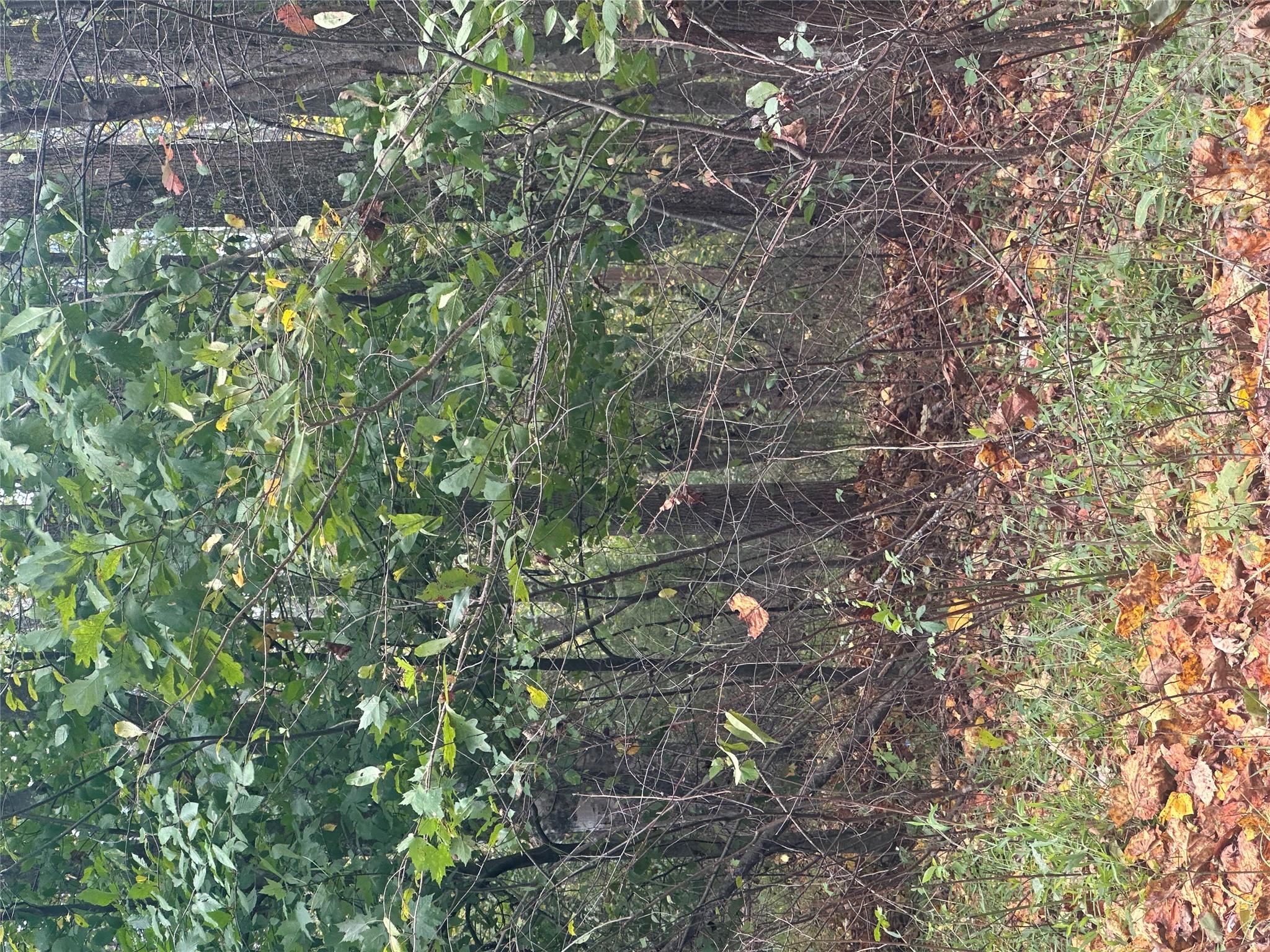 Lot 120 Friar Court 120 Property Photo 1