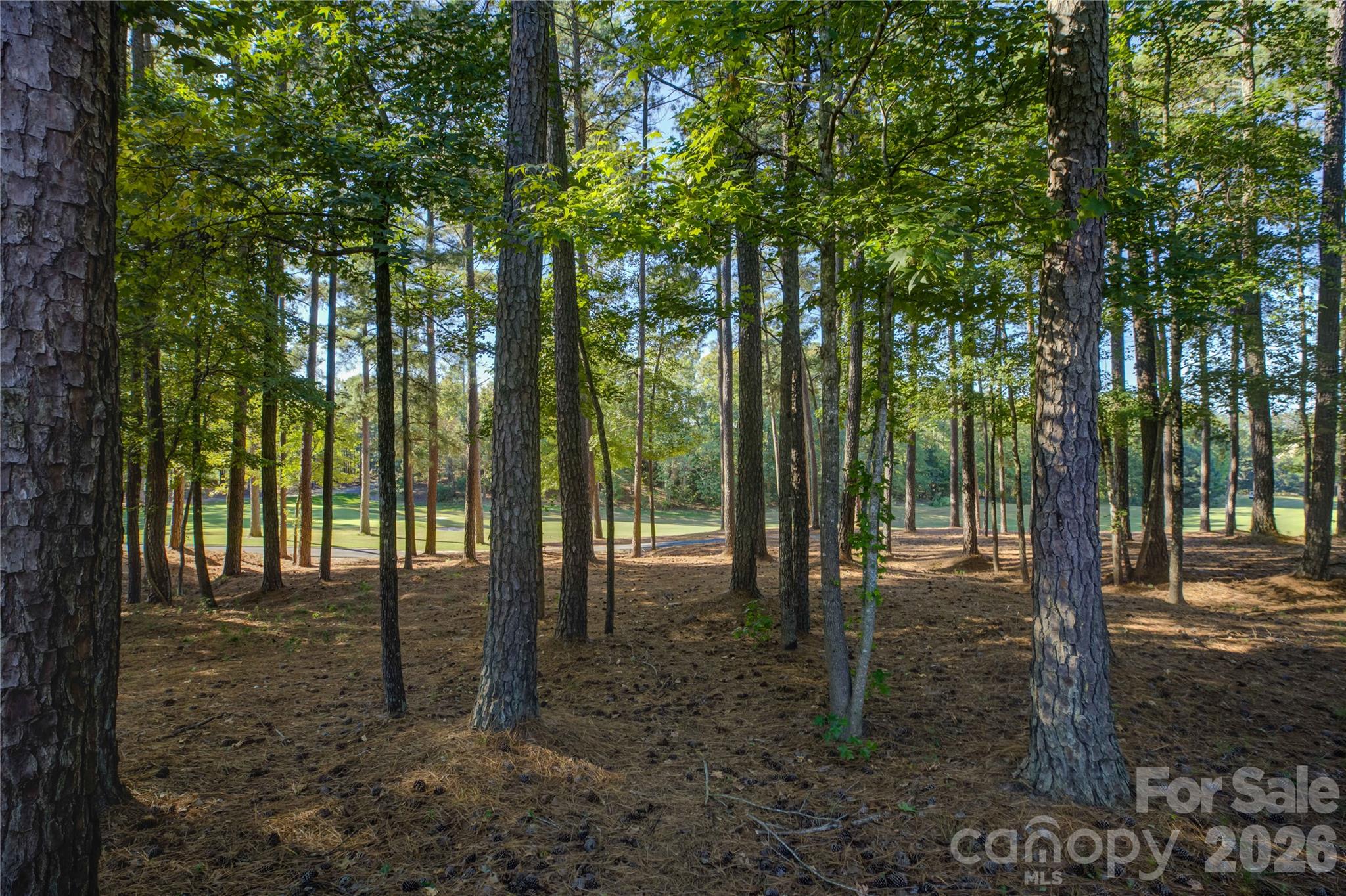 17733 Colleton River Lane Property Photo 43