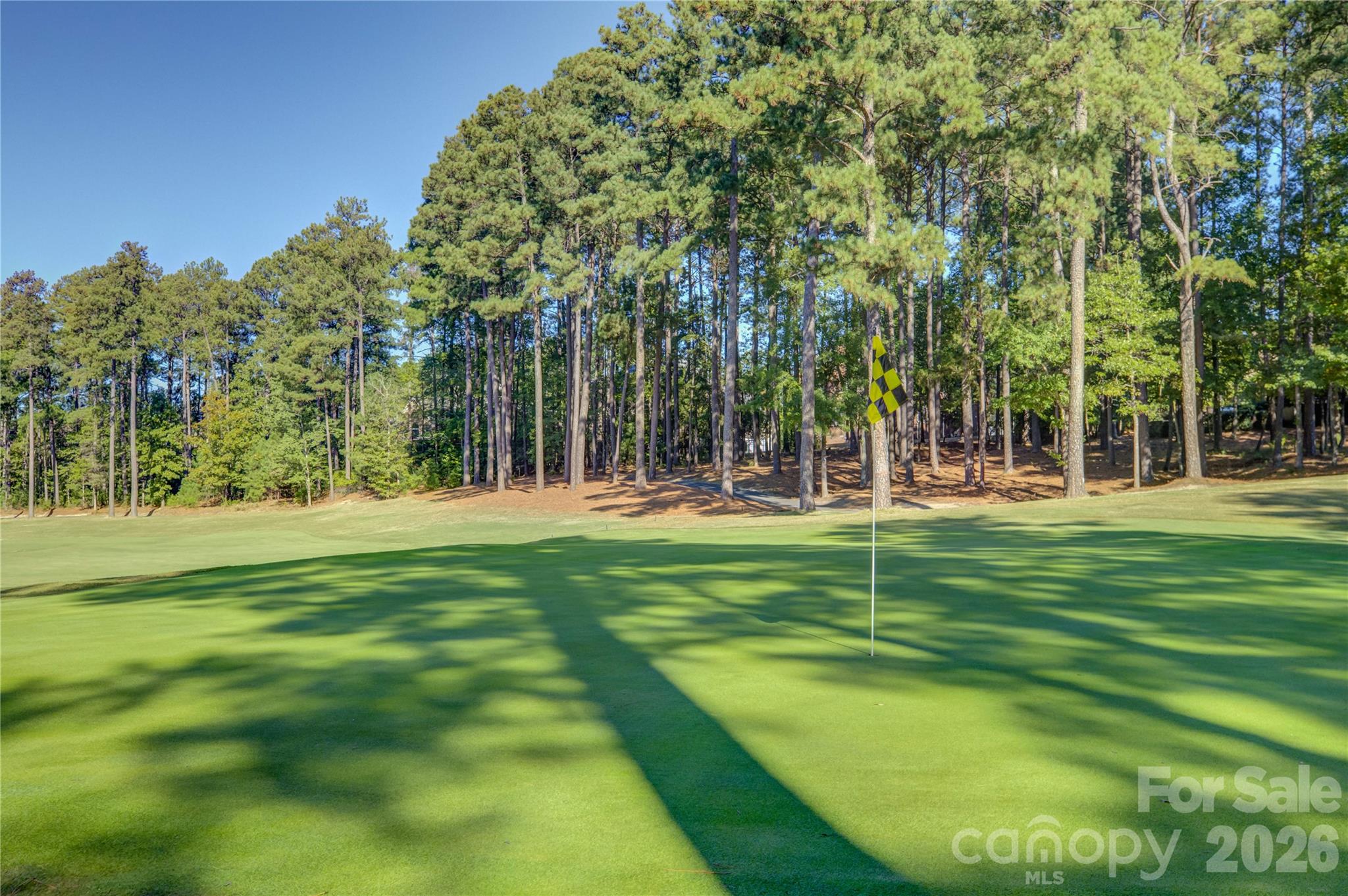 17733 Colleton River Lane Property Photo 46