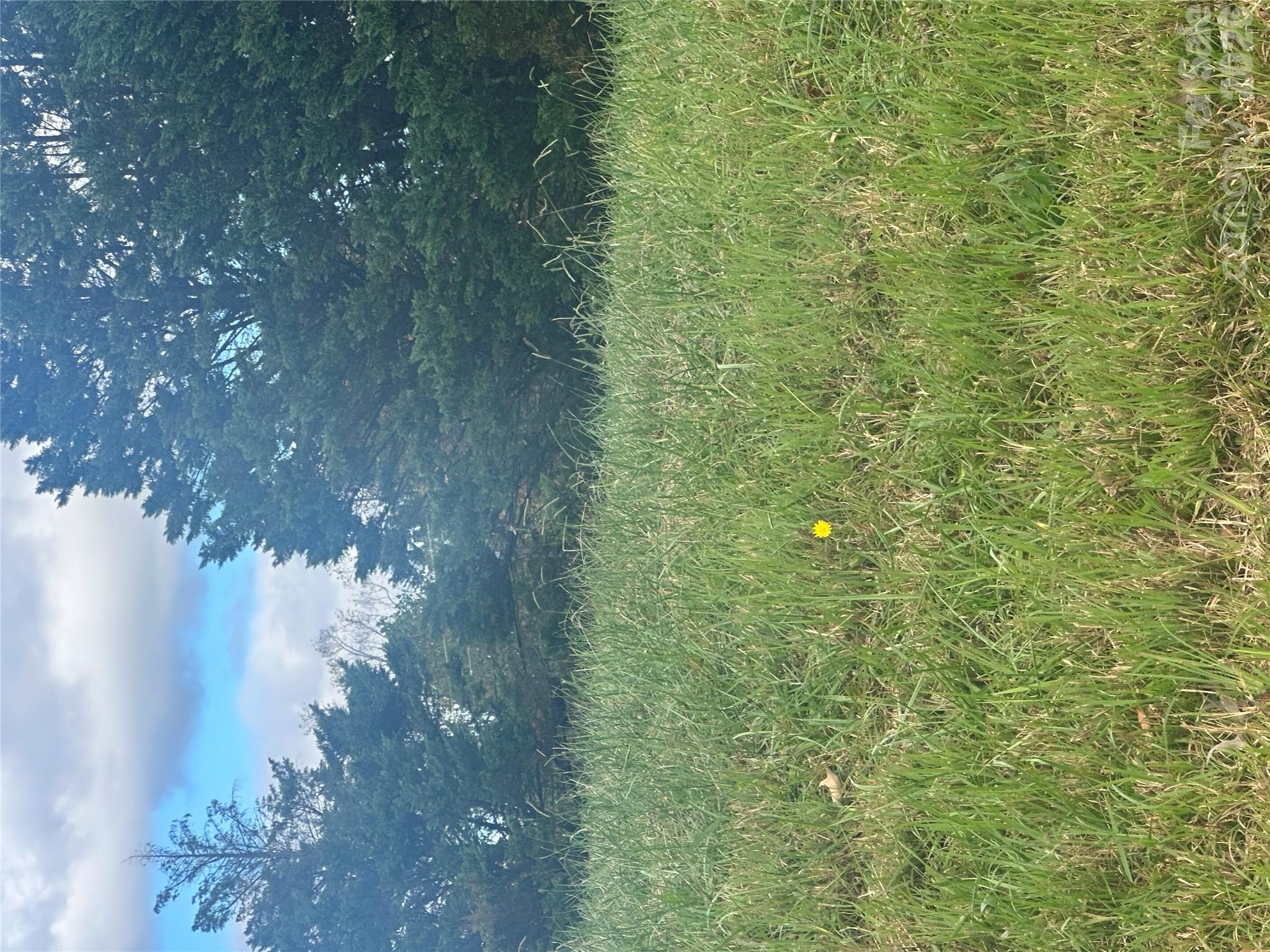 Lot 107 Parson Lane 107 Property Photo 1