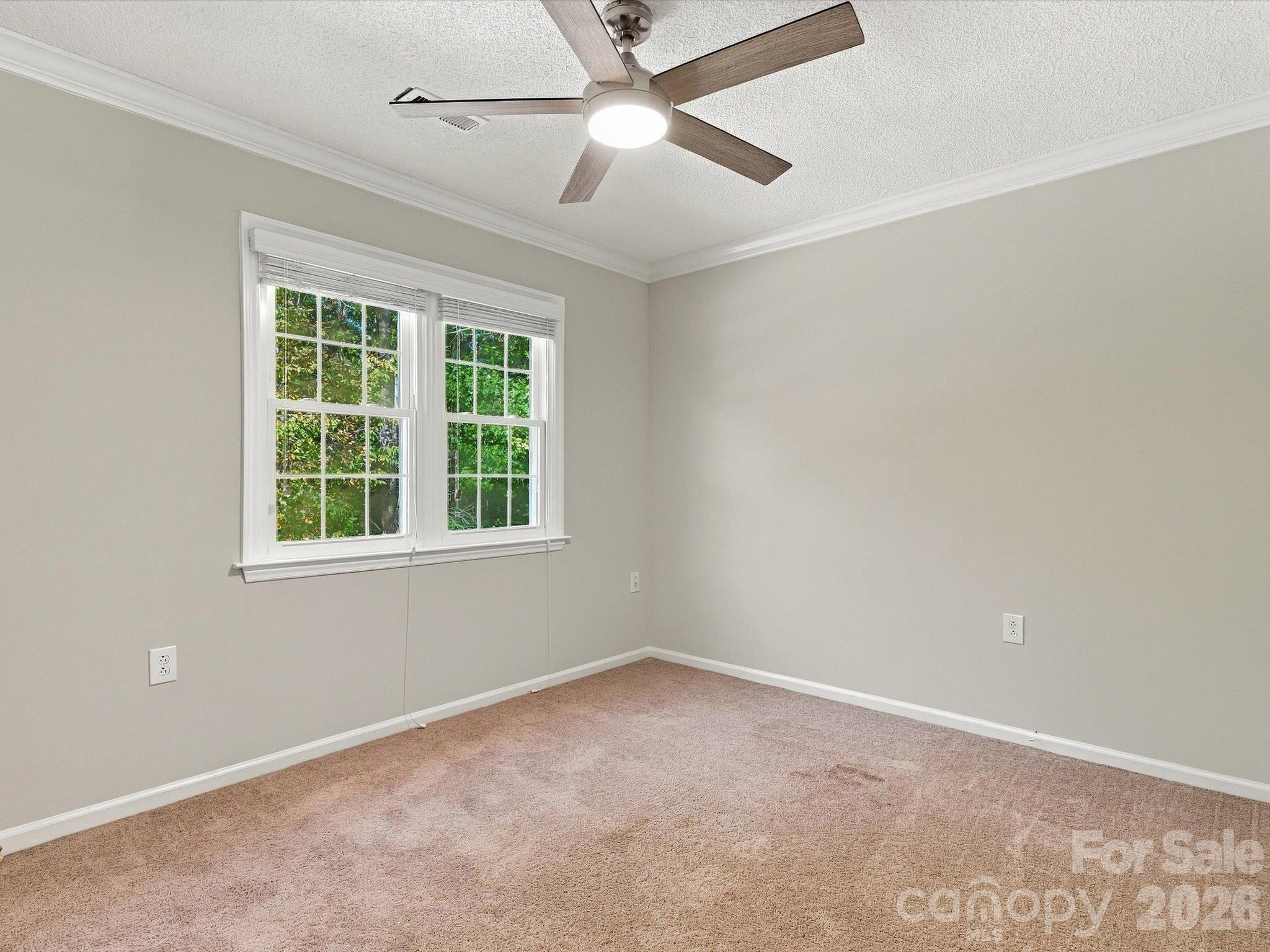 8898 Webb Road Property Photo 22
