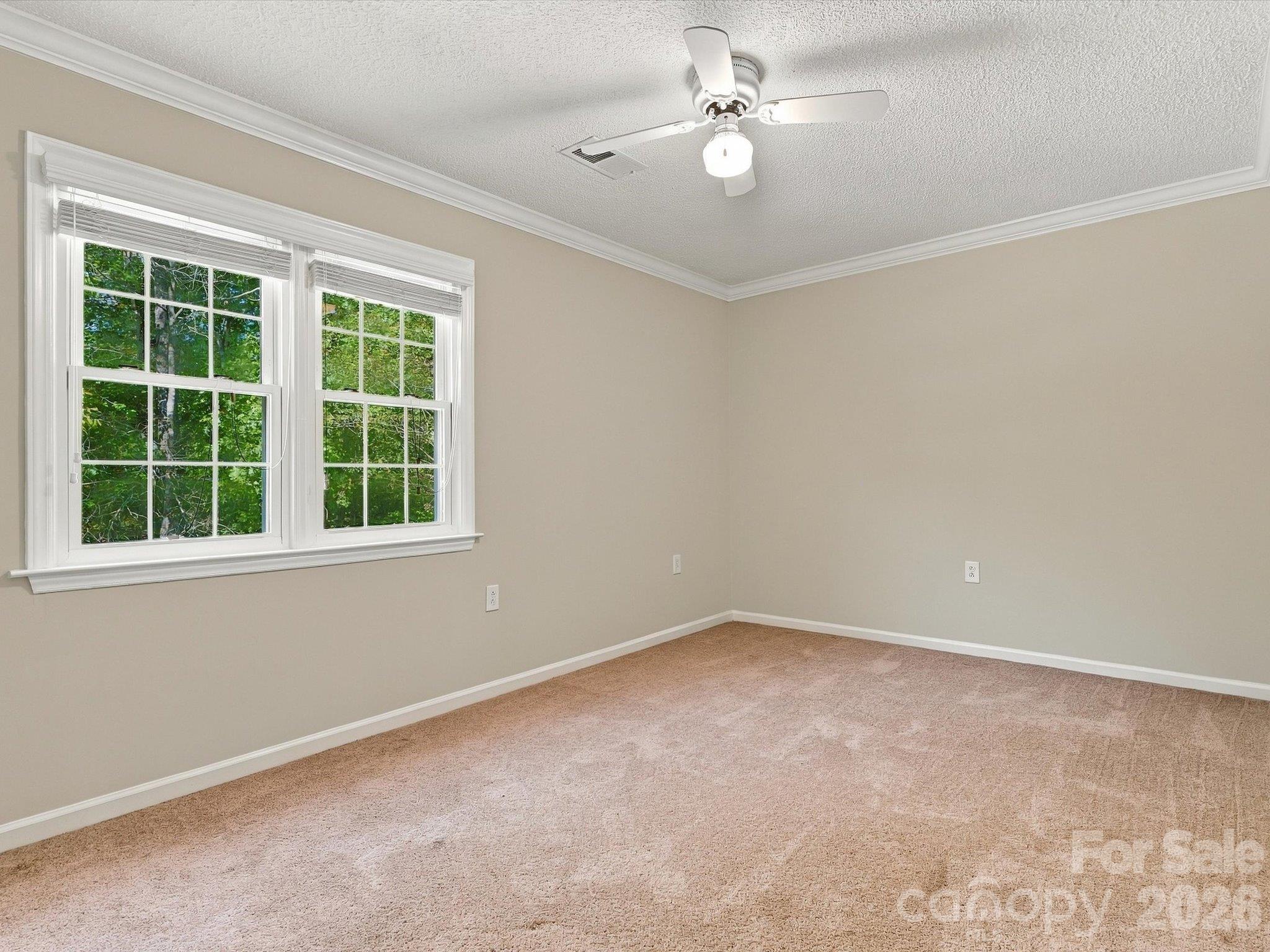 8898 Webb Road Property Photo 24