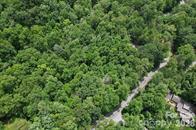 0 Buffalo Creek Road Property Photo 4