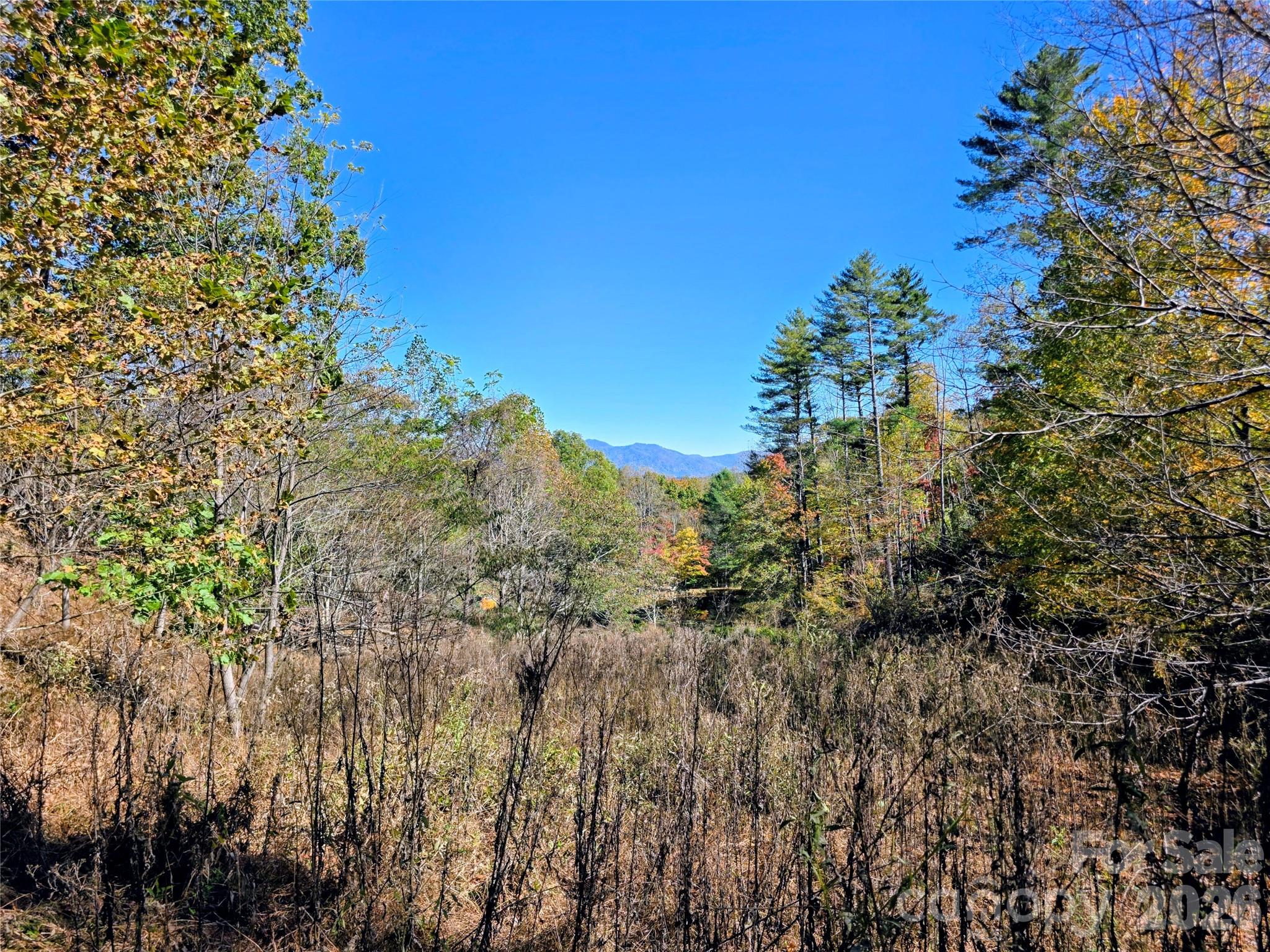 00 Big Brush Creek Road Property Photo 1
