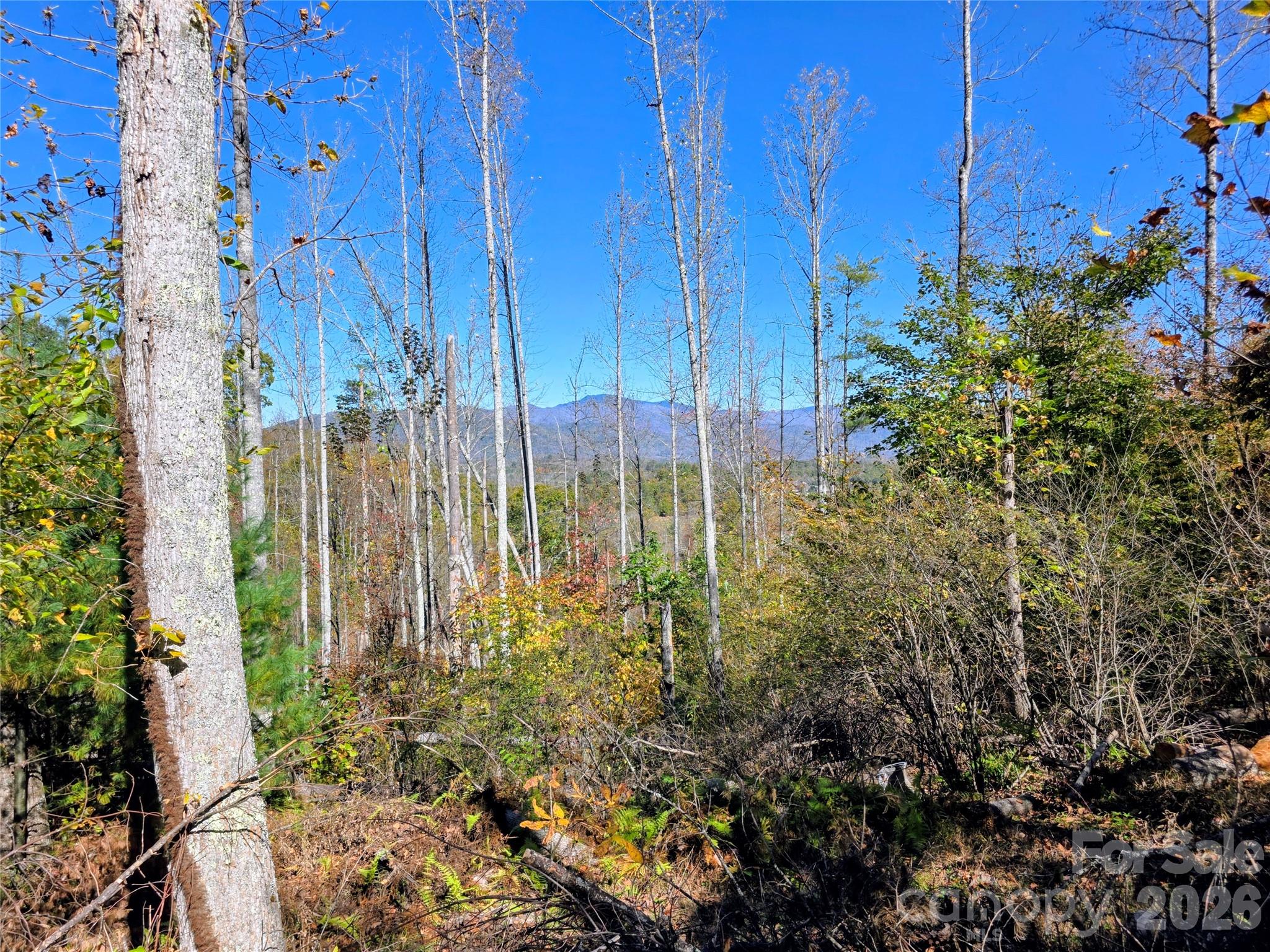 00 Big Brush Creek Road Property Photo 4