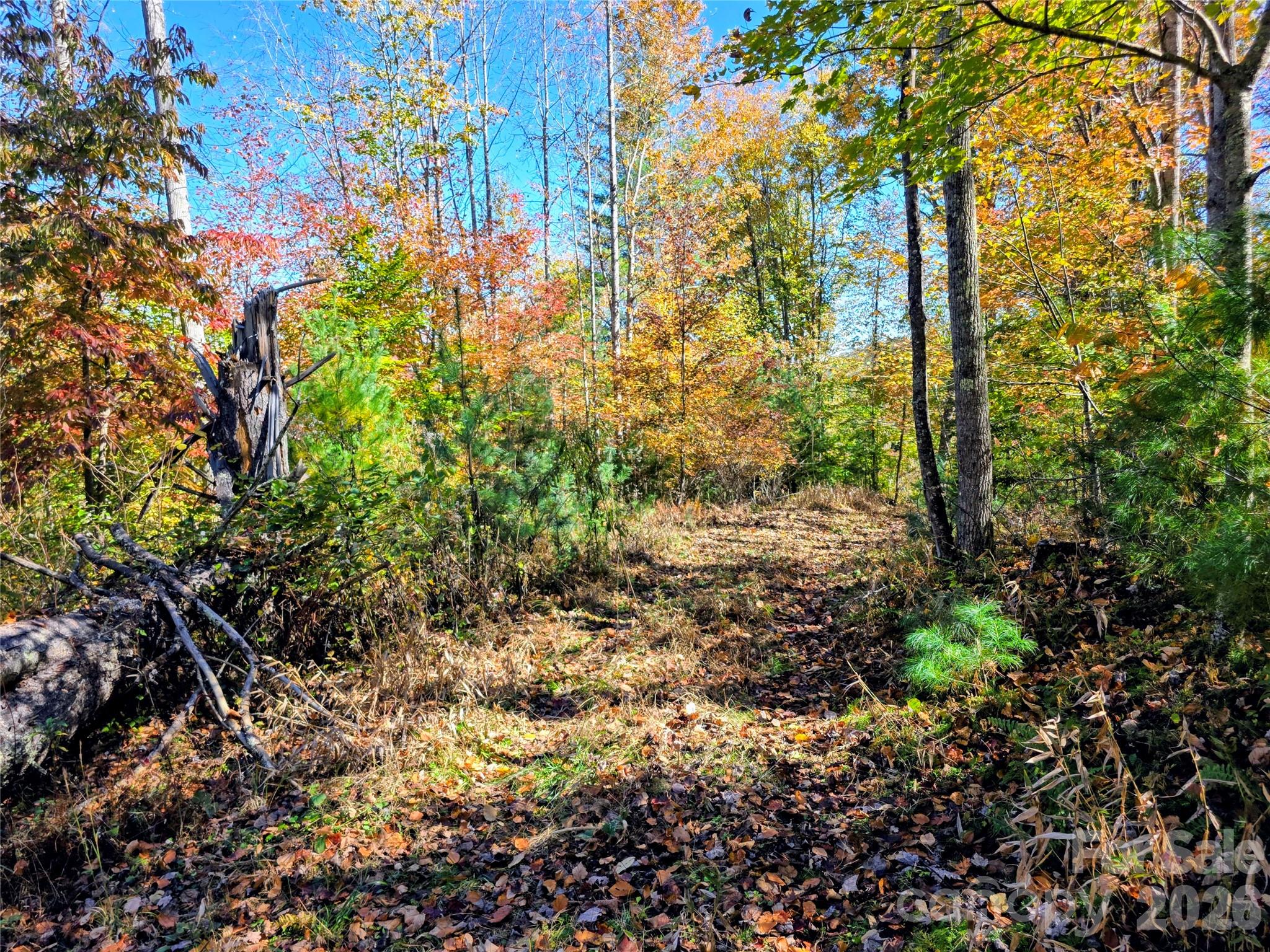 00 Big Brush Creek Road Property Photo 5