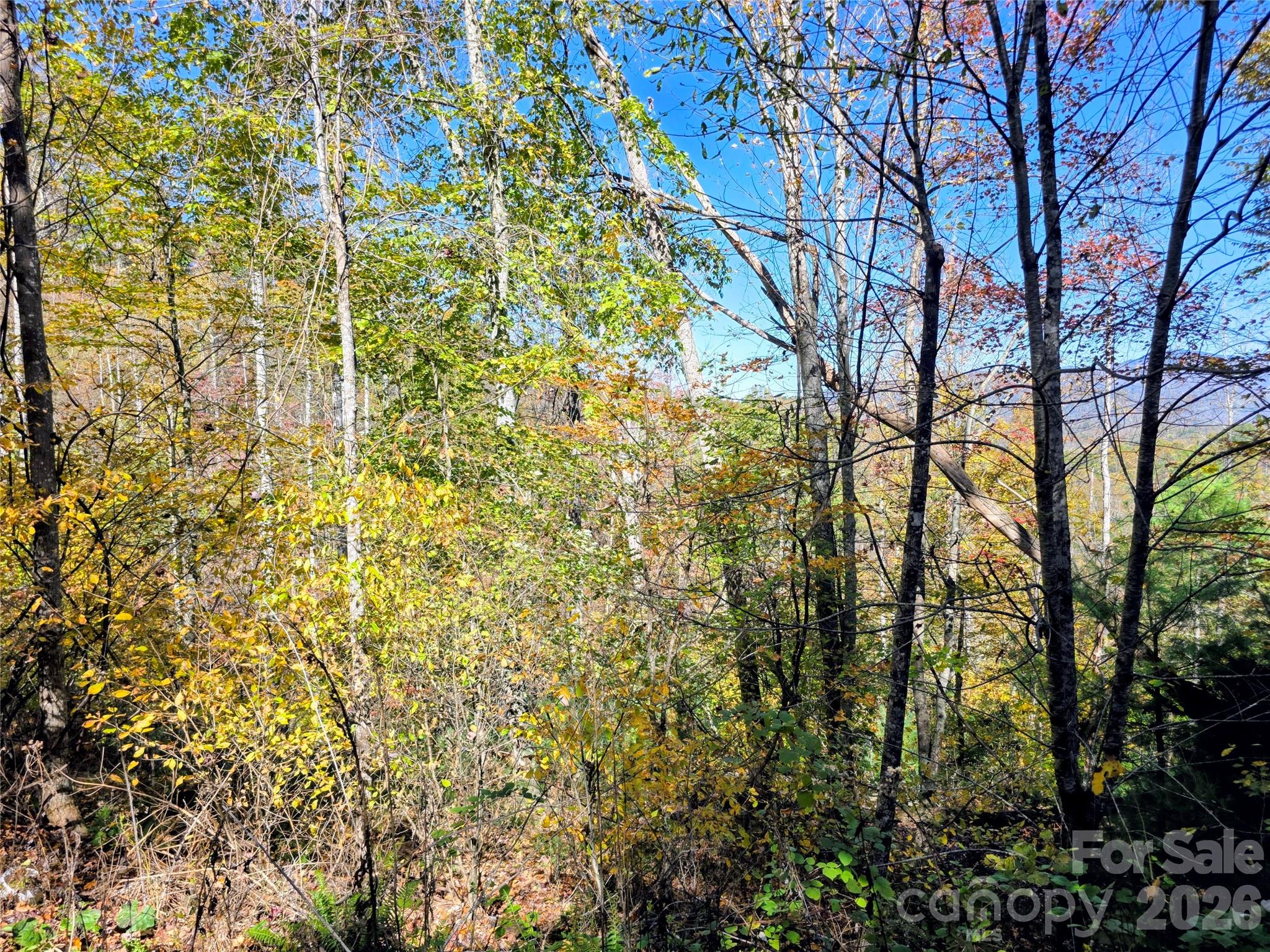00 Big Brush Creek Road Property Photo 6