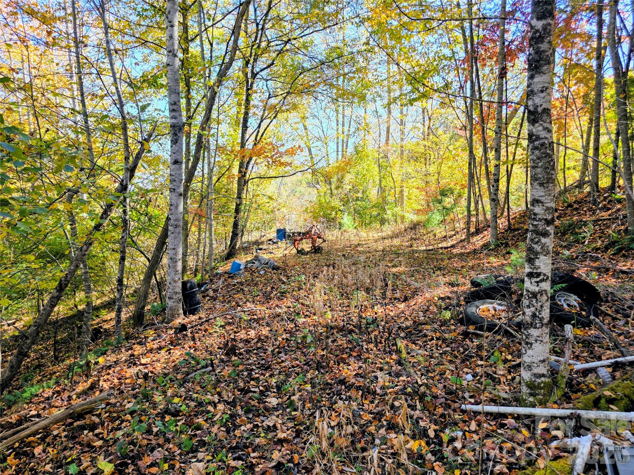 00 Big Brush Creek Road Property Photo 7