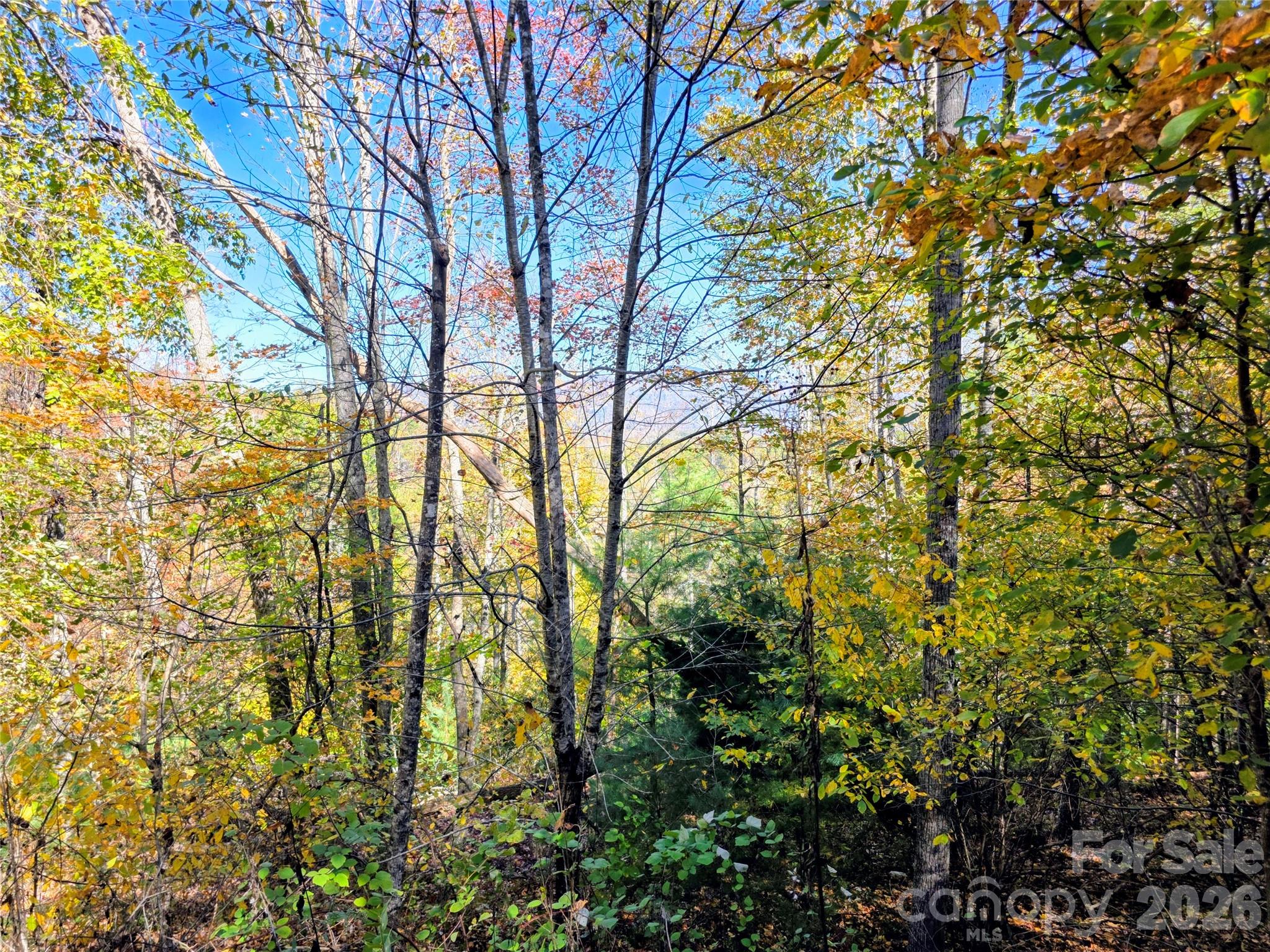 00 Big Brush Creek Road Property Photo 8
