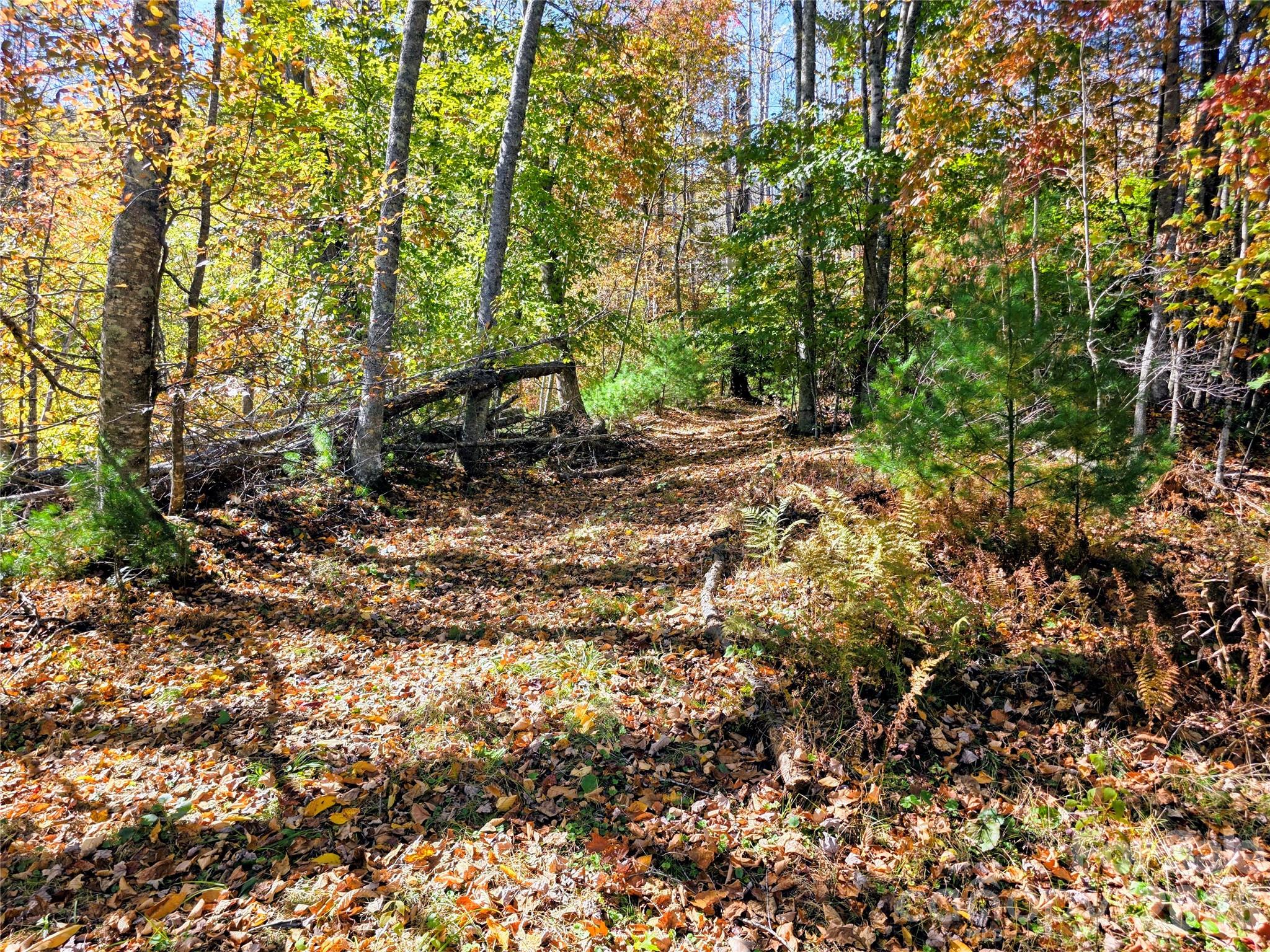 00 Big Brush Creek Road Property Photo 9