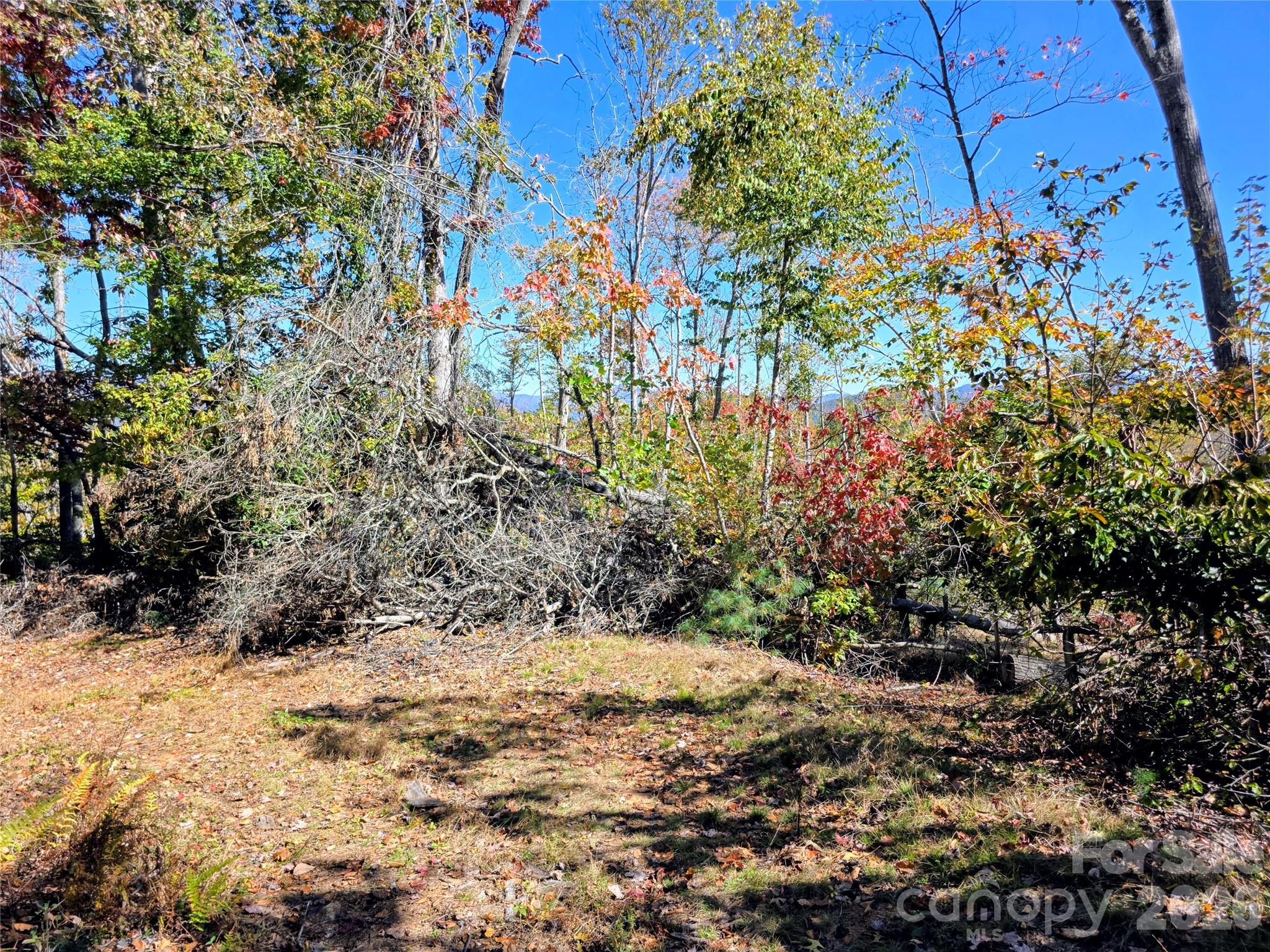 00 Big Brush Creek Road Property Photo 11