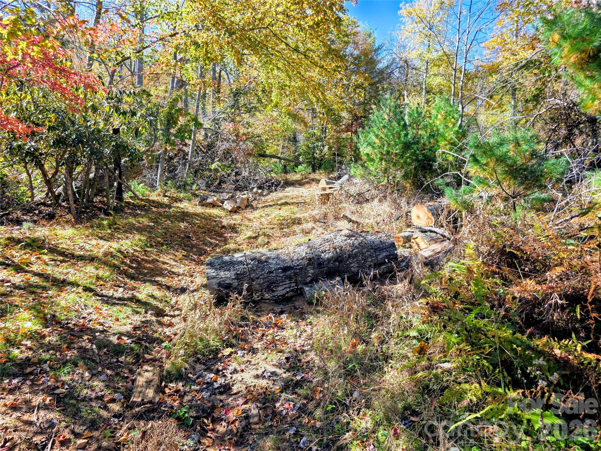 00 Big Brush Creek Road Property Photo 12