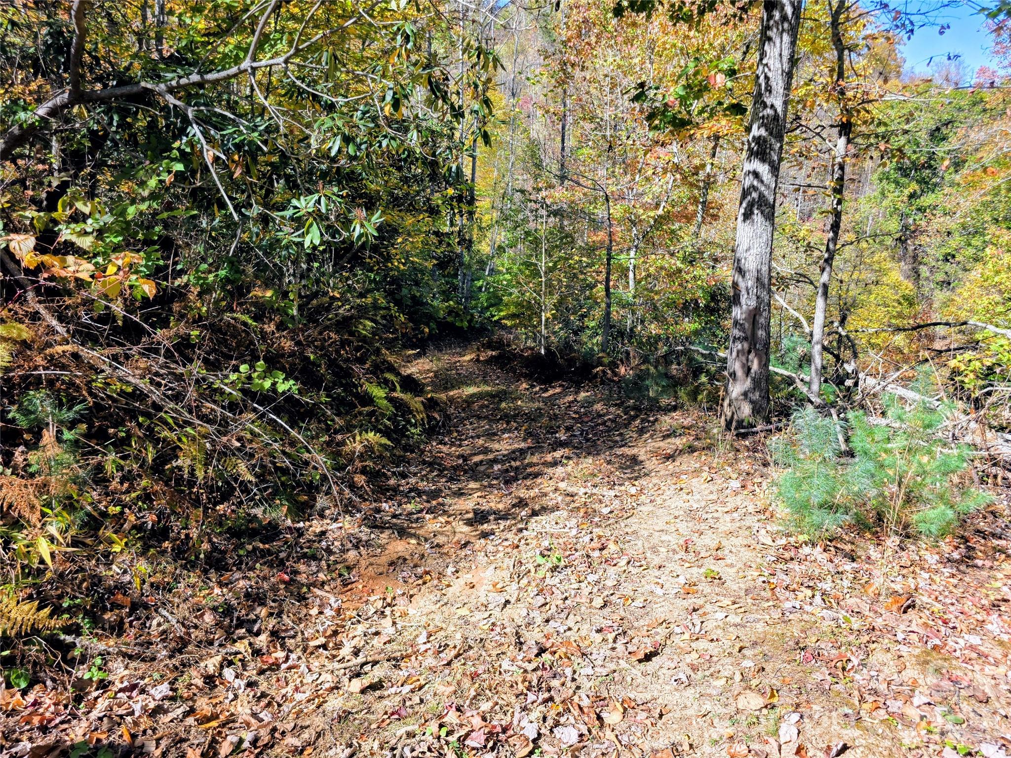 00 Big Brush Creek Road Property Photo 13
