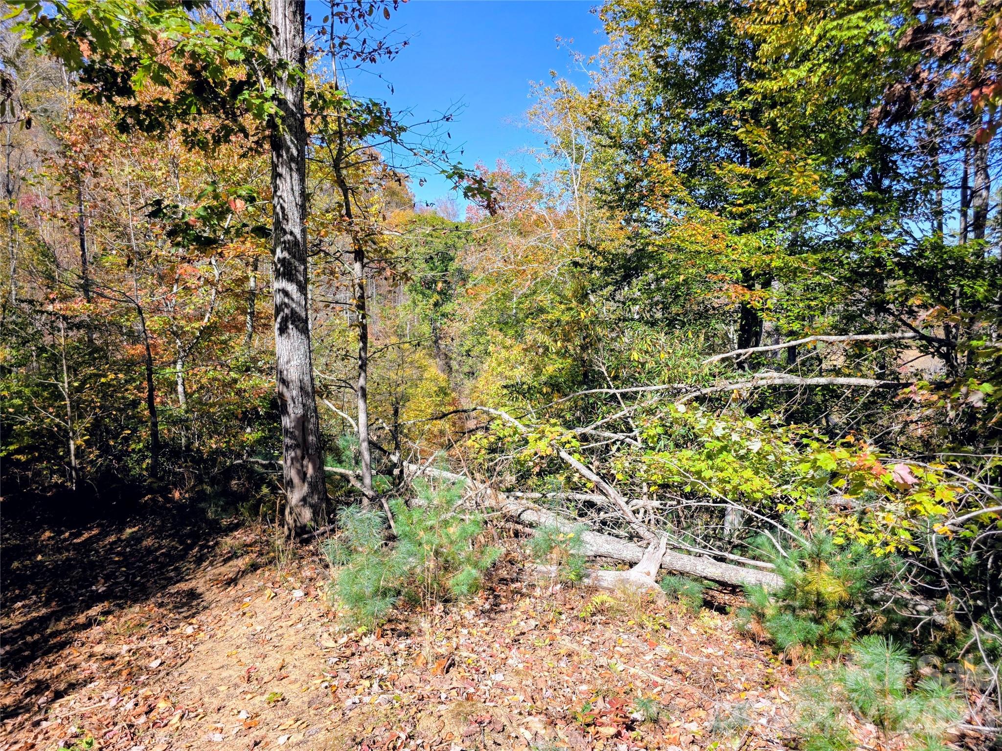 00 Big Brush Creek Road Property Photo 14