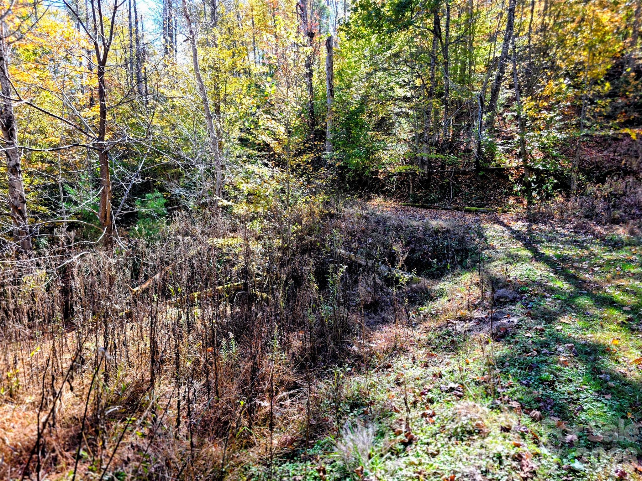 00 Big Brush Creek Road Property Photo 15