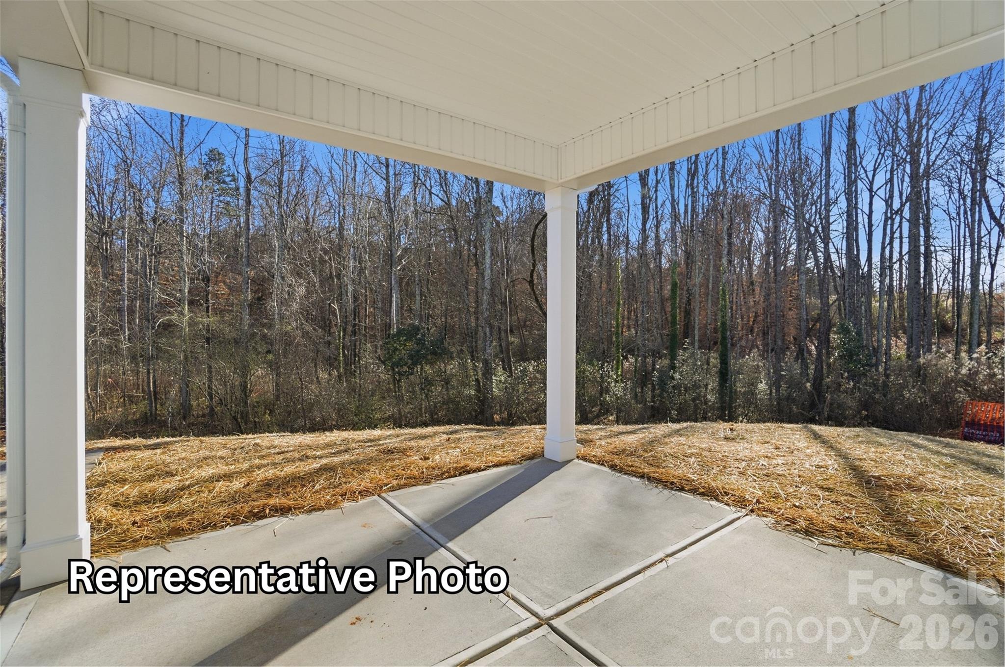 2189 Caravan Lane Property Photo 25