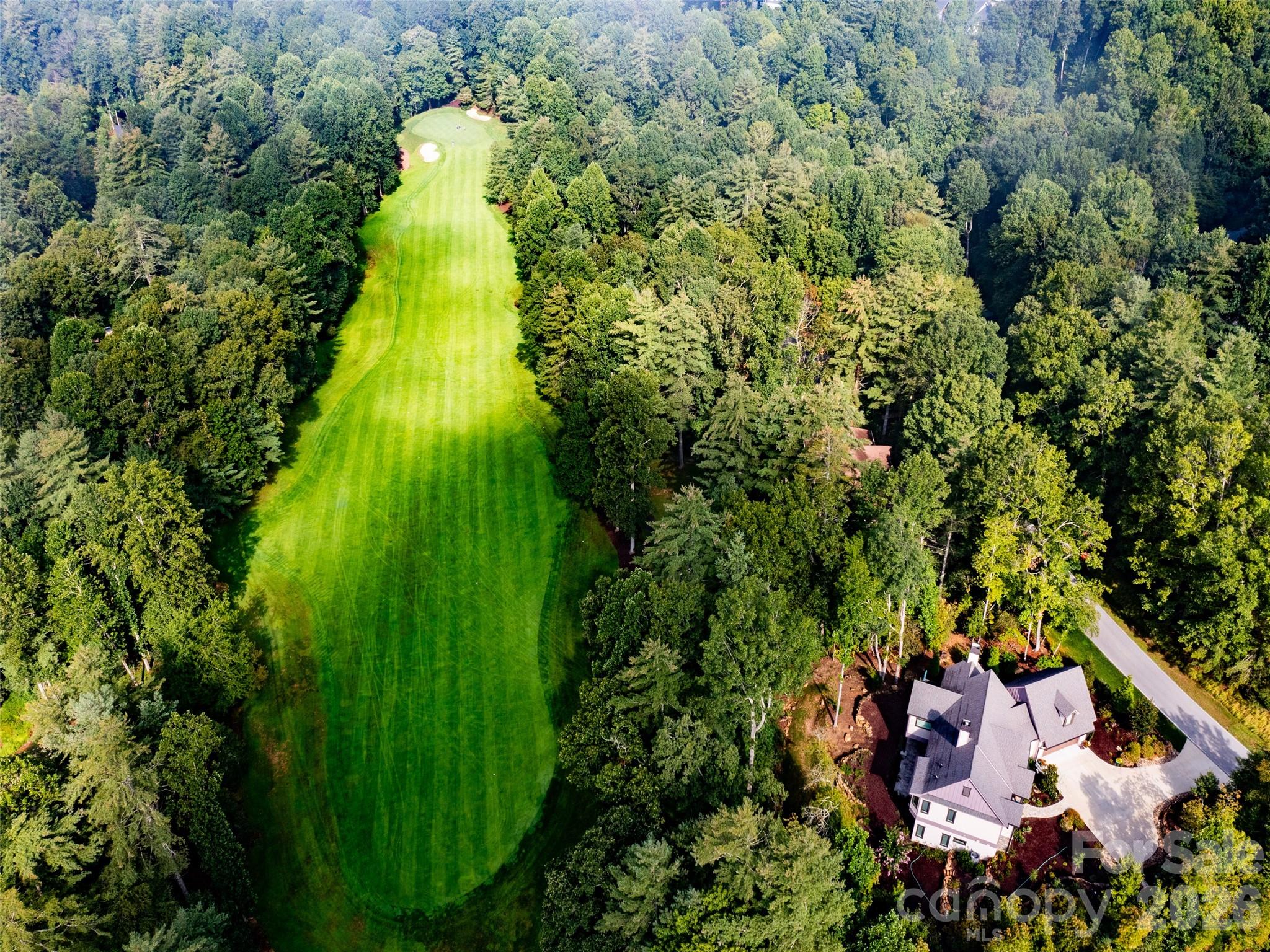 153 Chattooga Run Property Photo 1