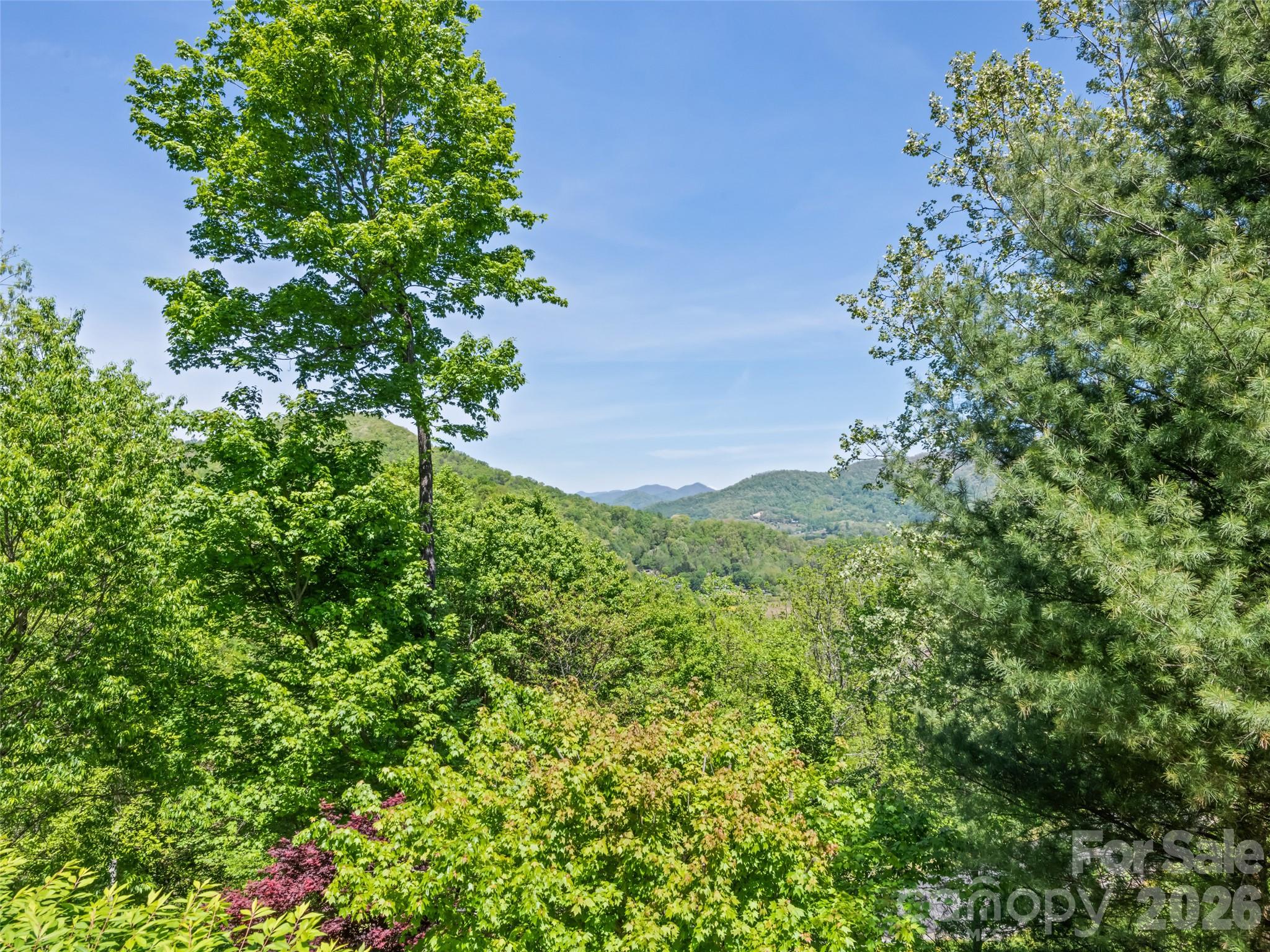 970 Campbell Mountain Drive Property Photo 29
