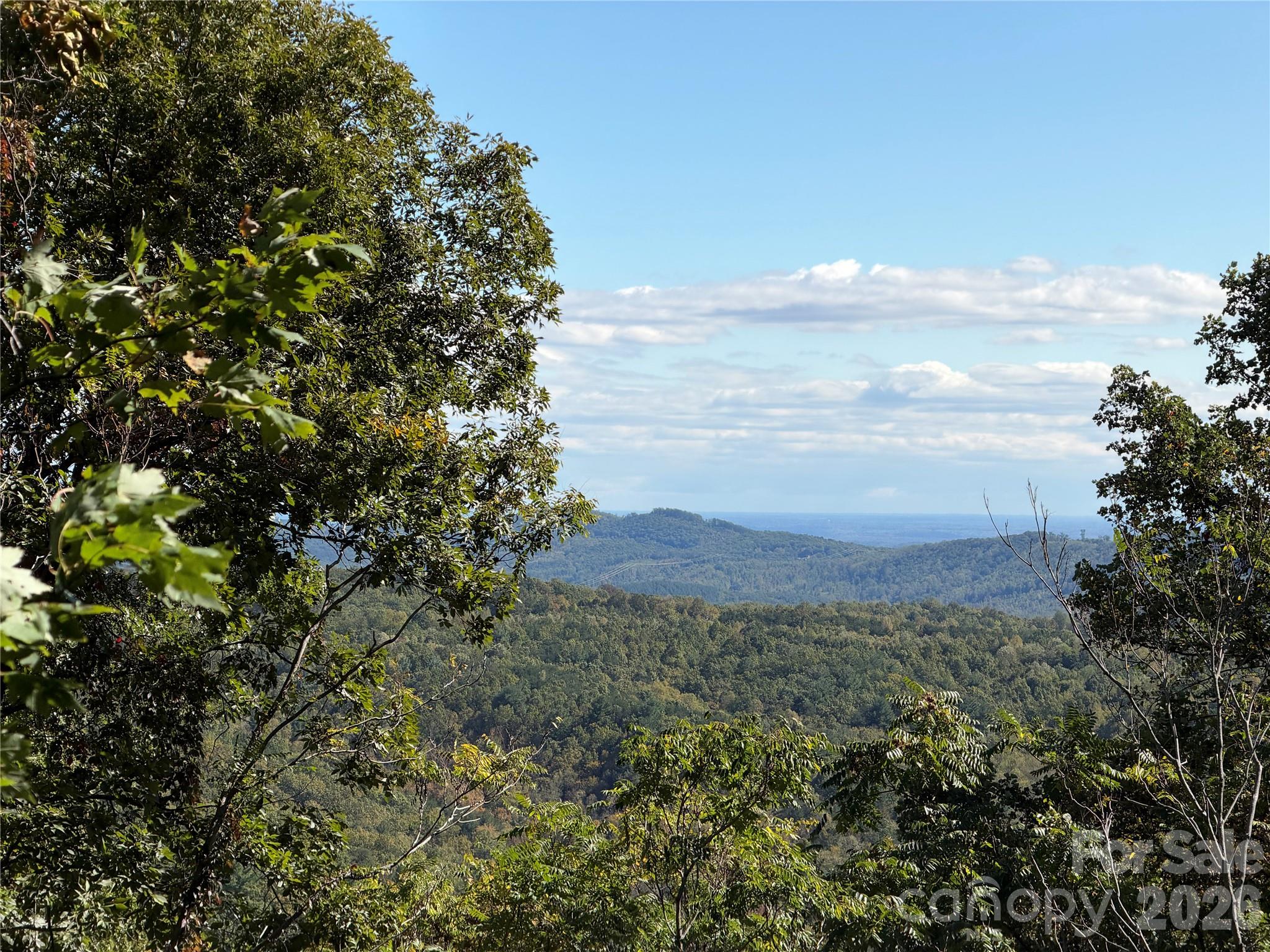 Tbd Vannoy Ridge Road Property Photo 1