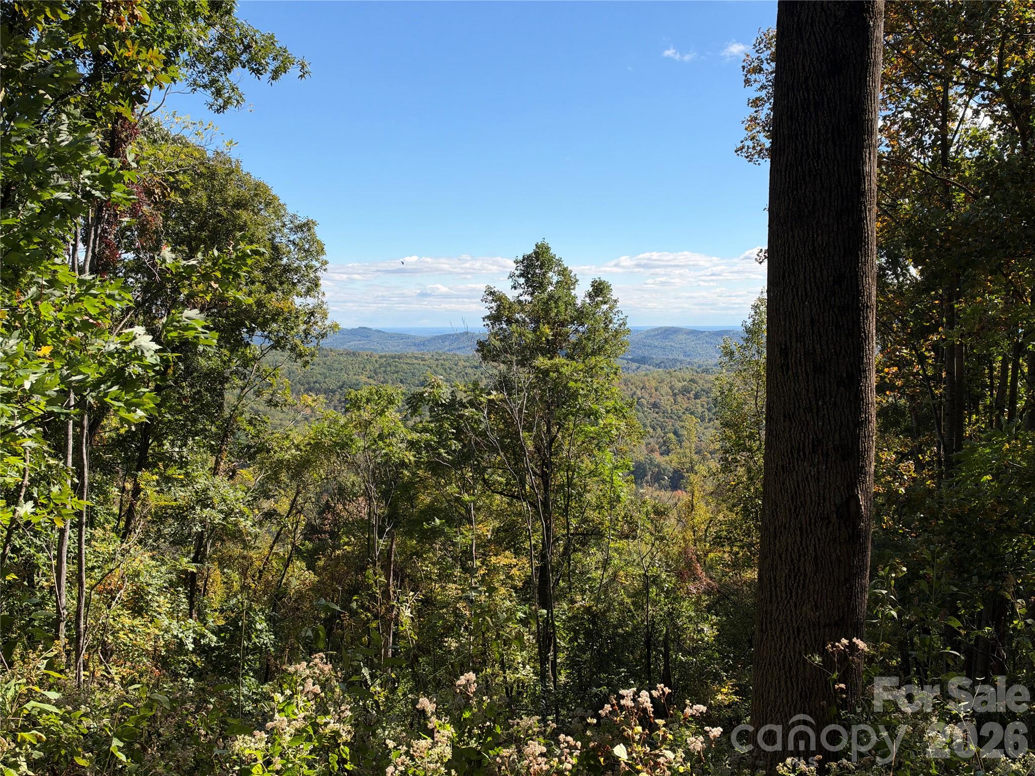 Tbd Vannoy Ridge Road Property Photo 2