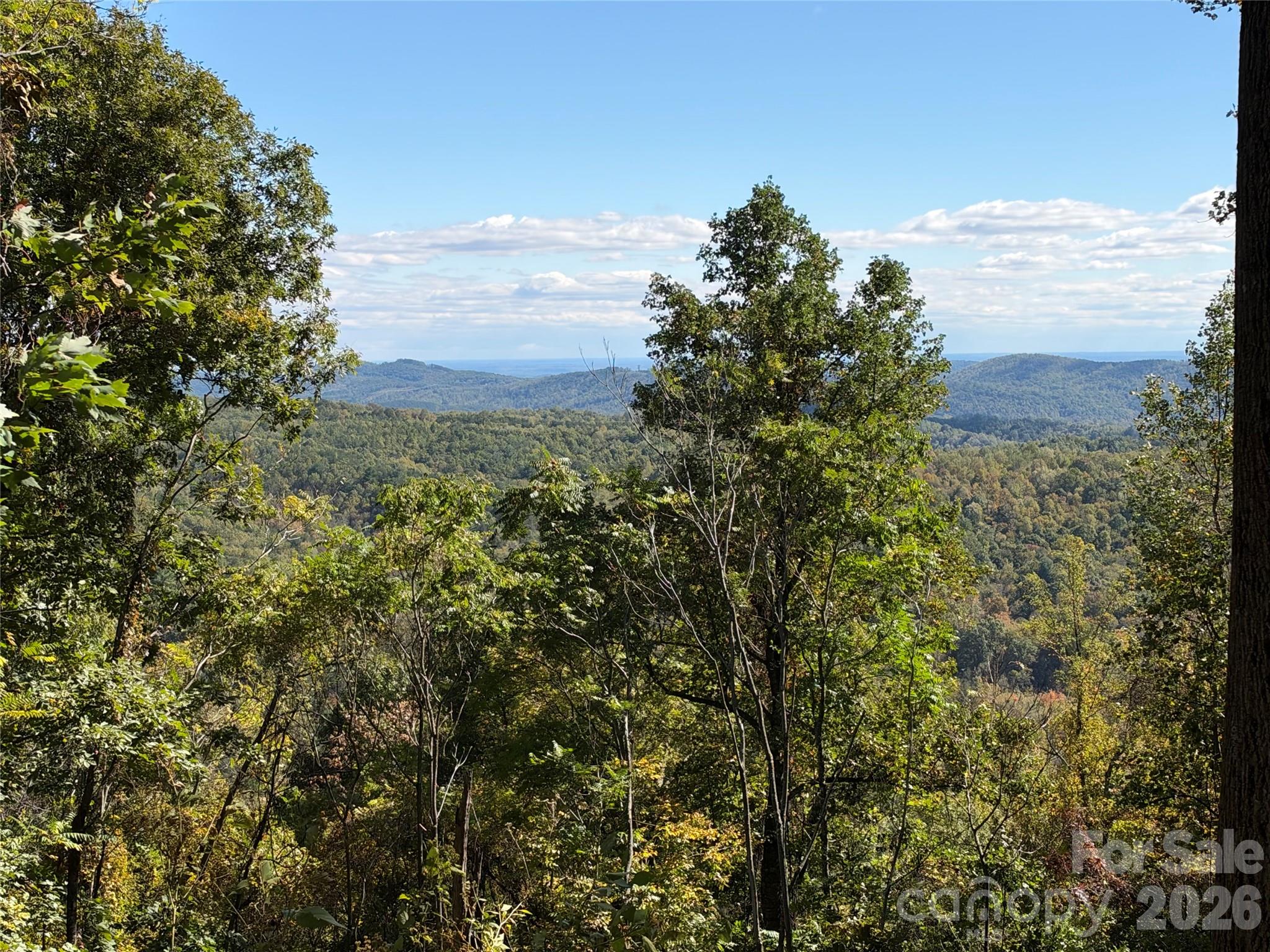 Tbd Vannoy Ridge Road Property Photo 6